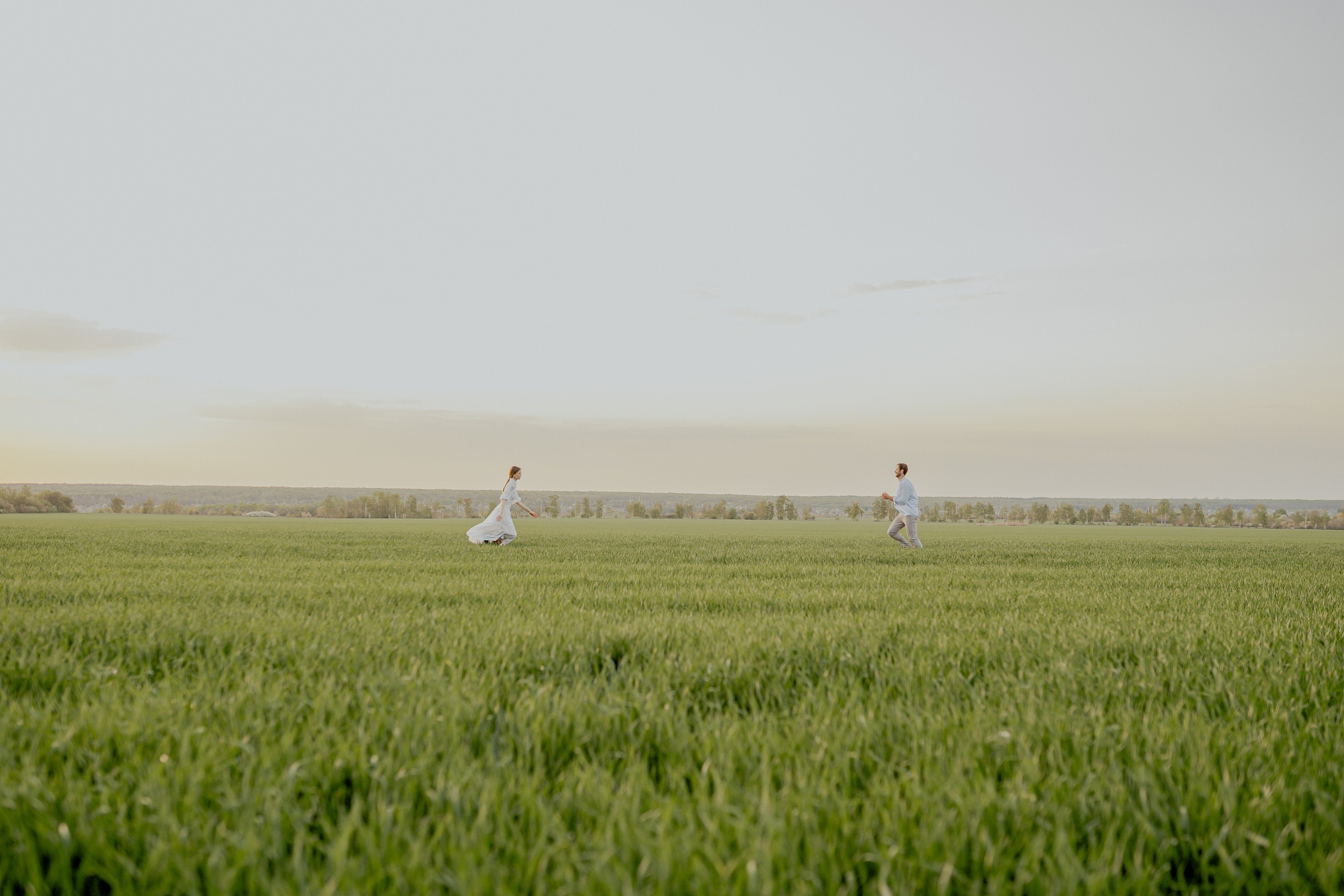 Поле. Фотограф Мария Зайчик