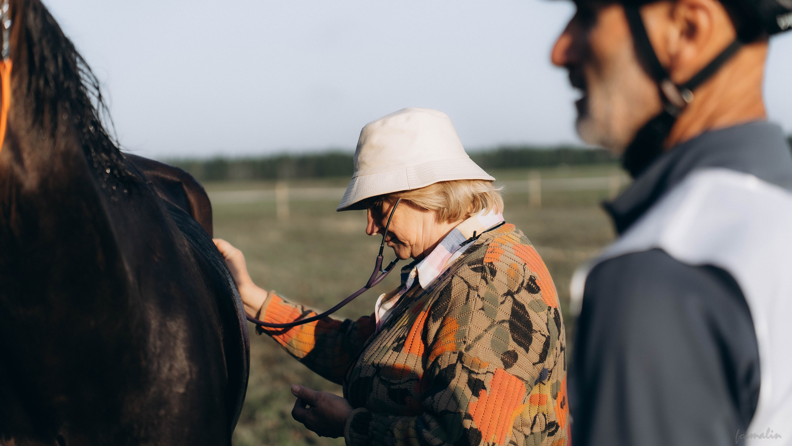 День Коня. Алиса Никитцова | Фотограф в Казани