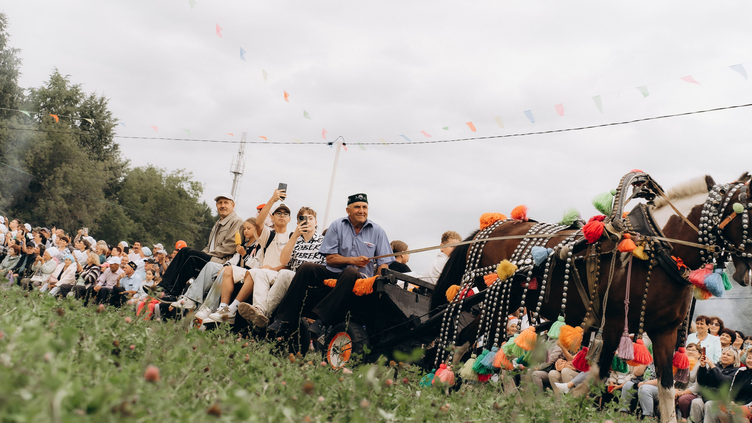 День Коня. Алиса Никитцова | Фотограф в Казани