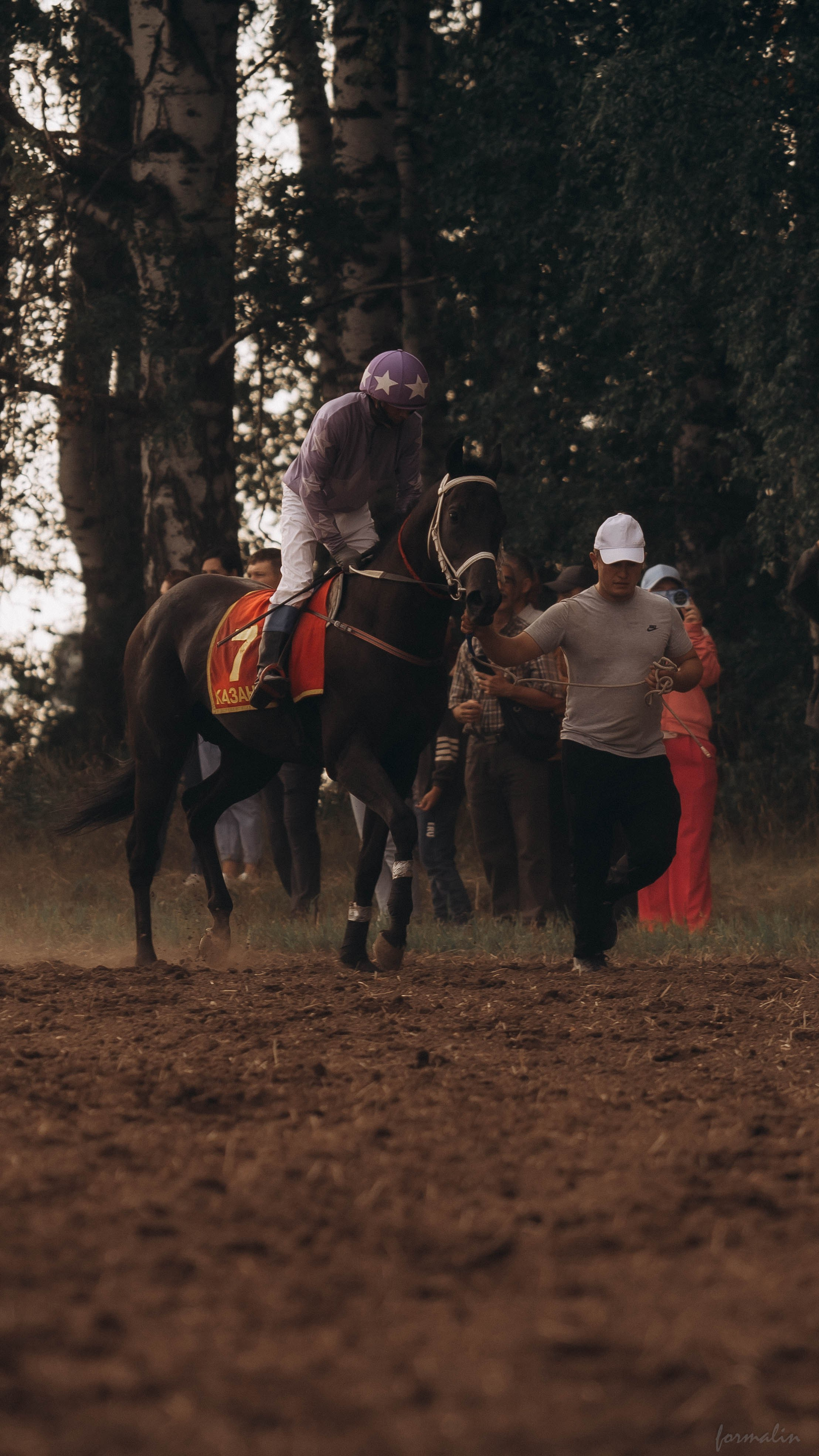 День Коня. Алиса Никитцова | Фотограф в Казани
