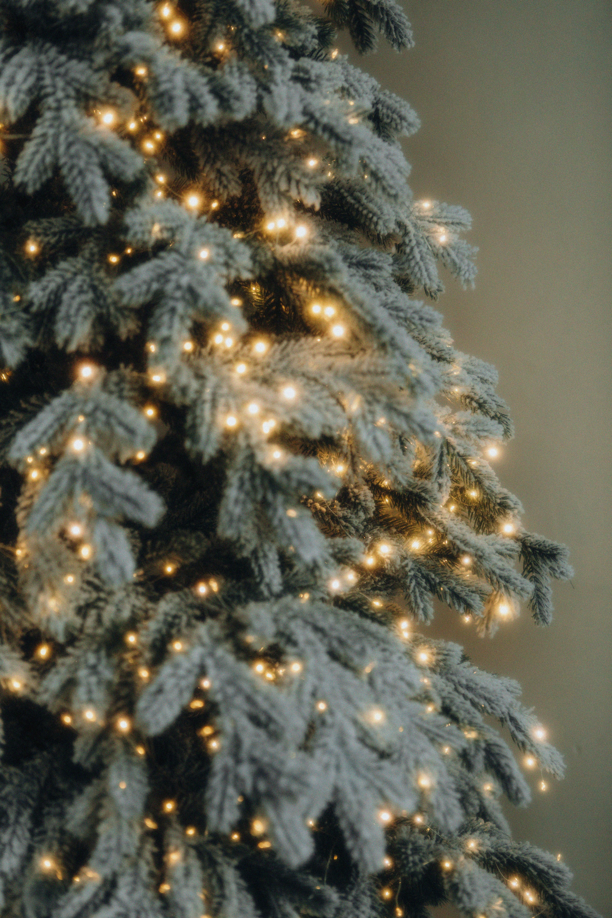 Конфетти. Свадебный и семейный фотограф Арестенко Анастасия