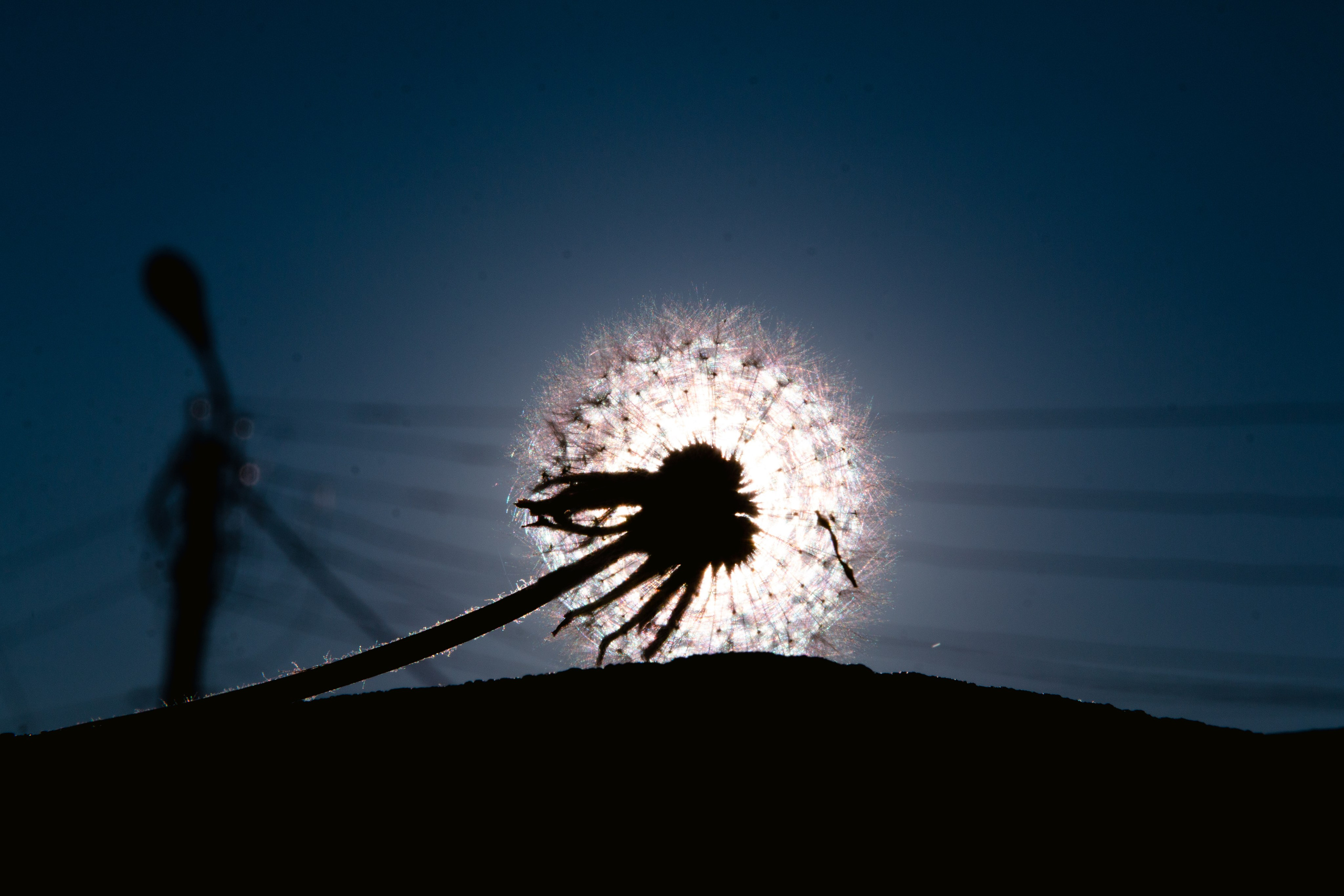 На фоне солнца — творческий фотопроект | EMBOD