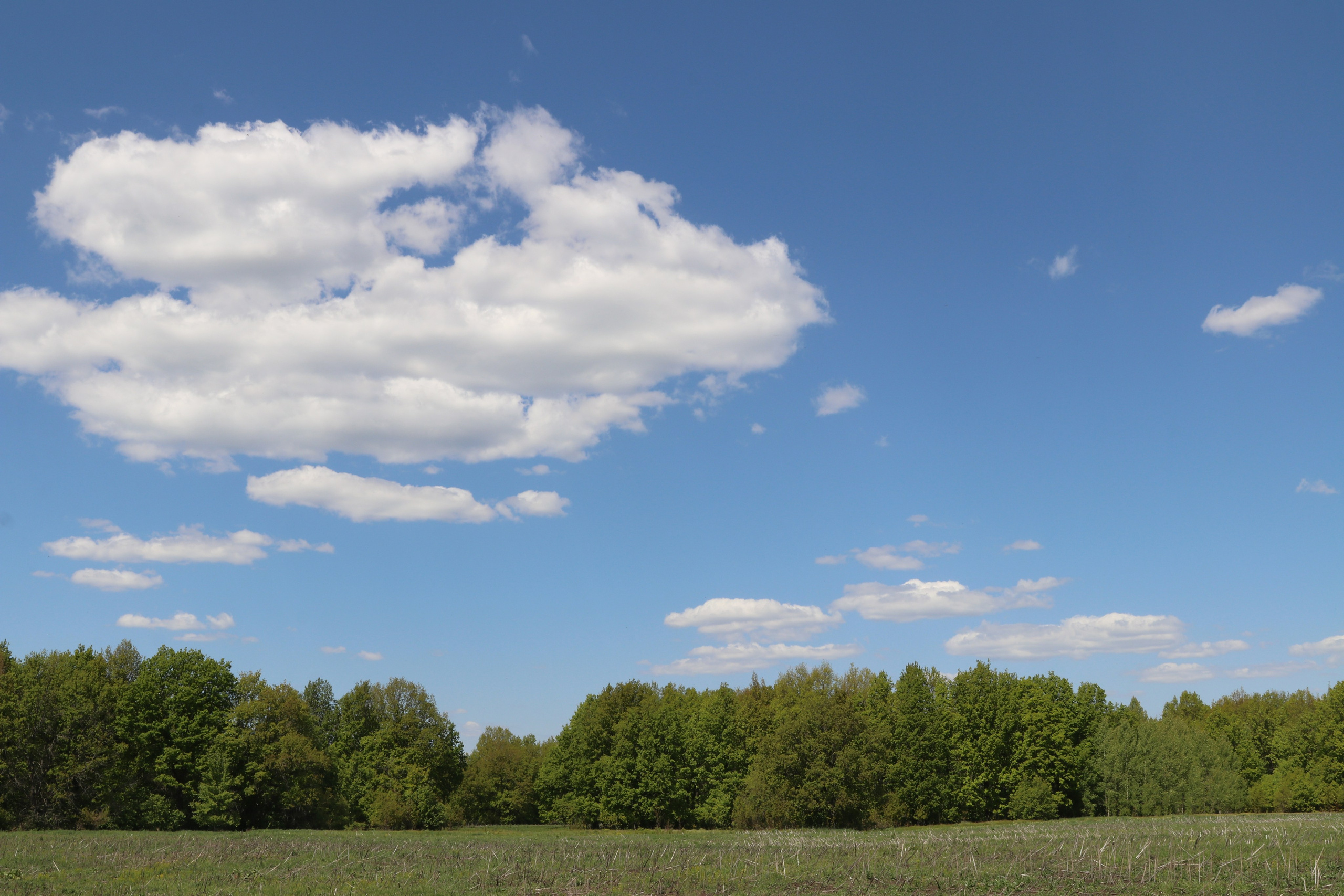 Велопоход Уфа — Мелеуз. Май 2024. Путешественник-фотограф из Санкт-Петербурга Татьяна Свистулина