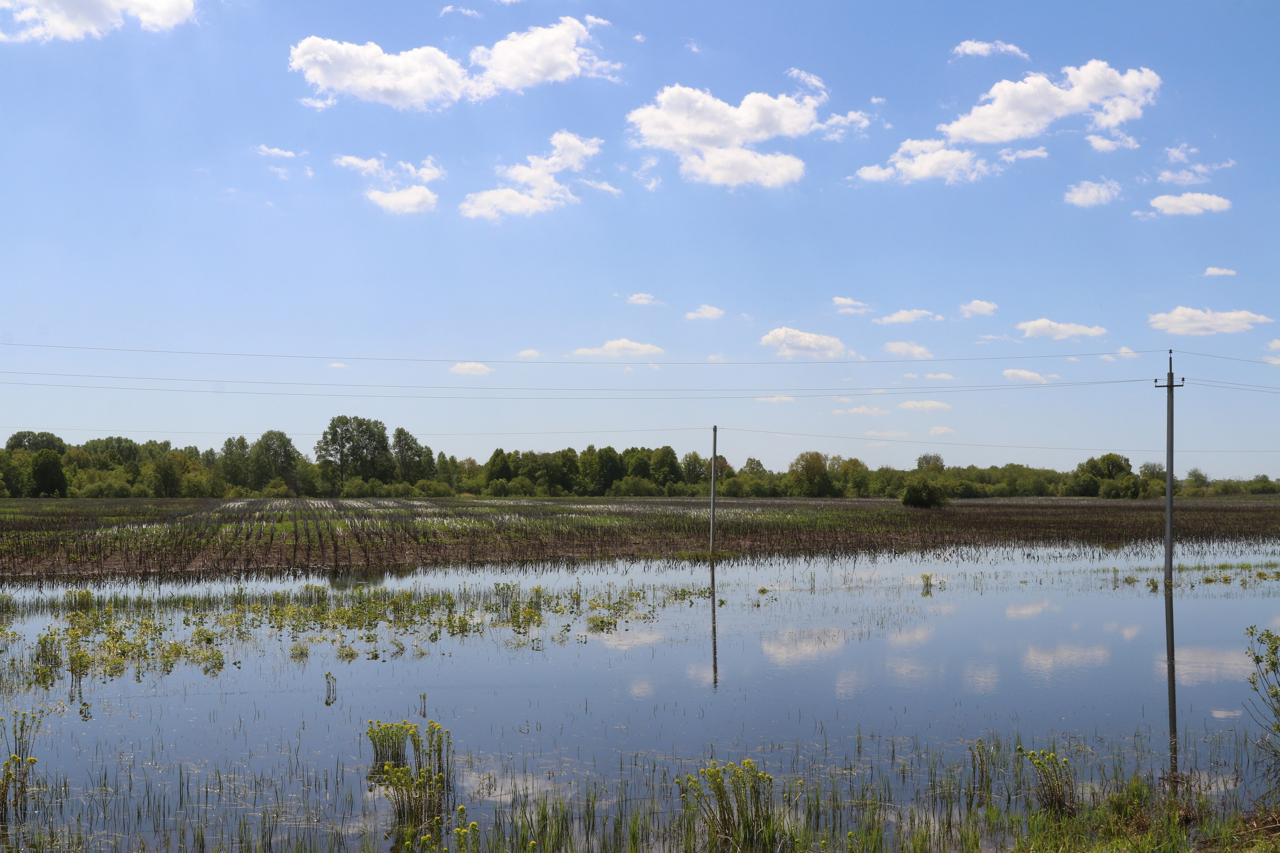 Велопоход Уфа — Мелеуз. Май 2024. Путешественник-фотограф из Санкт-Петербурга Татьяна Свистулина
