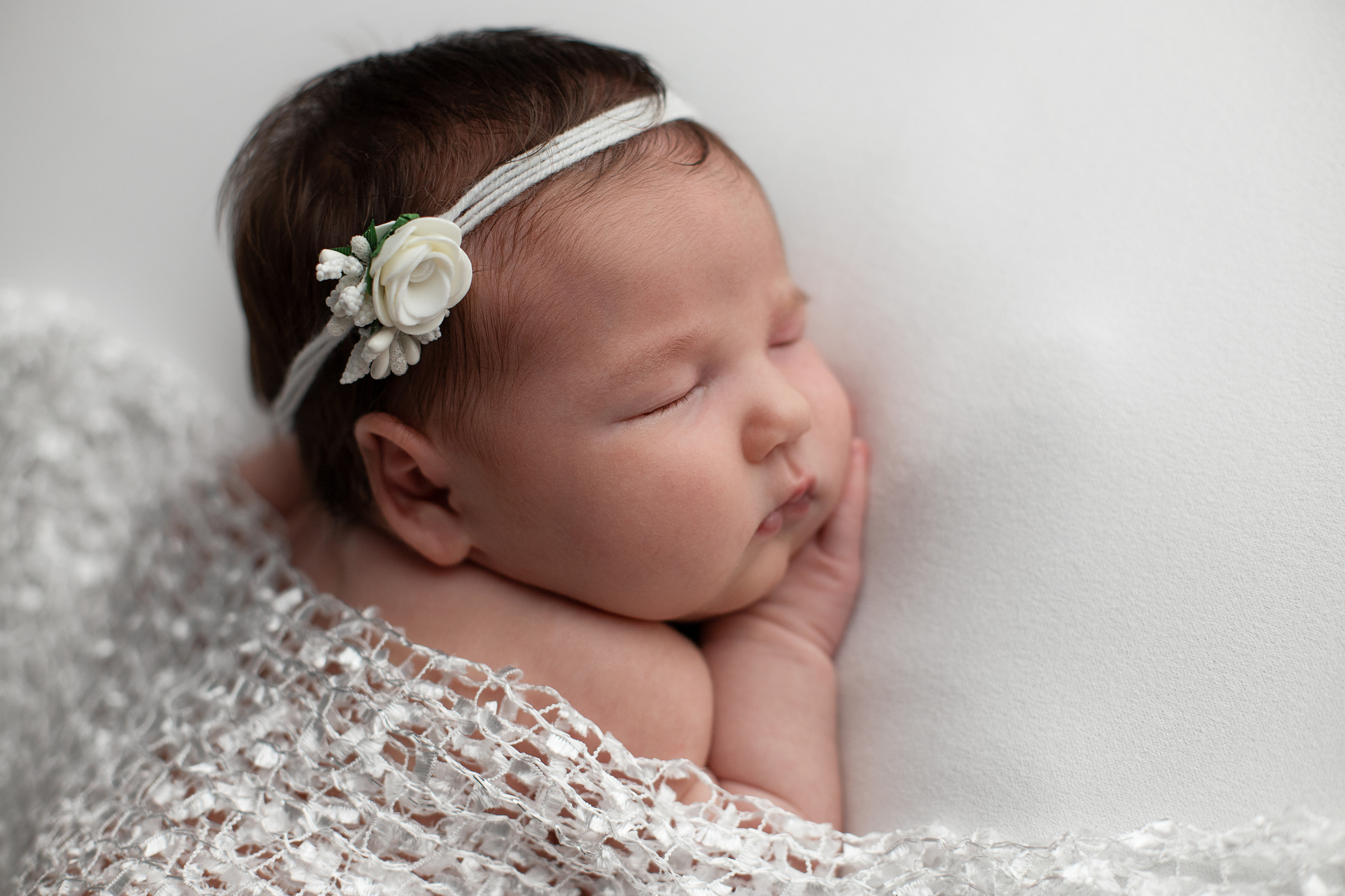 Новорожденные. Фотограф новорожденных Витебск Елена Толкач