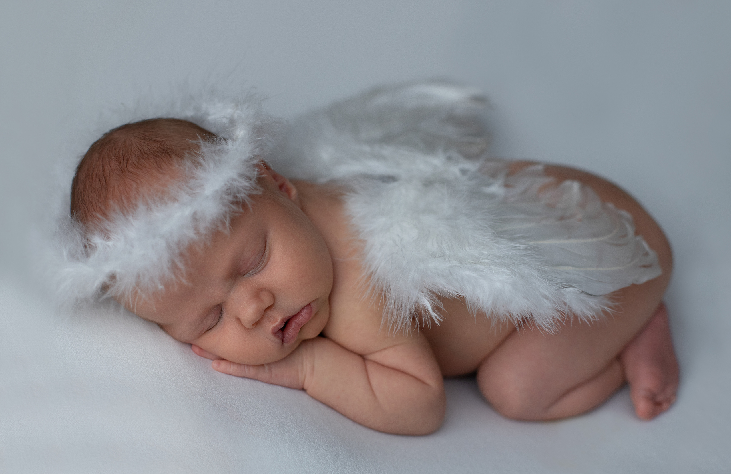 Новорожденные. Фотограф новорожденных Витебск Елена Толкач