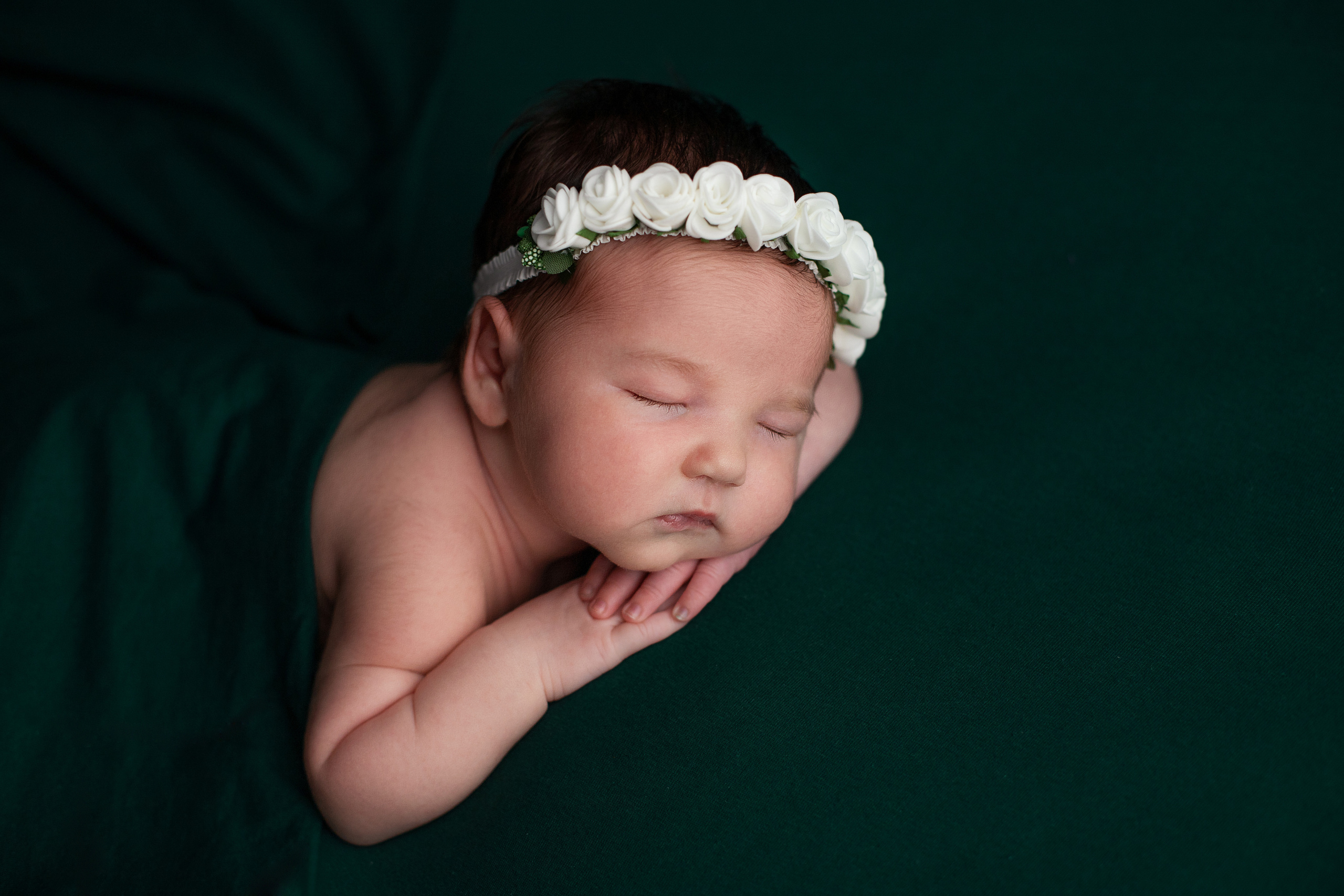 Новорожденные. Фотограф новорожденных Витебск Елена Толкач