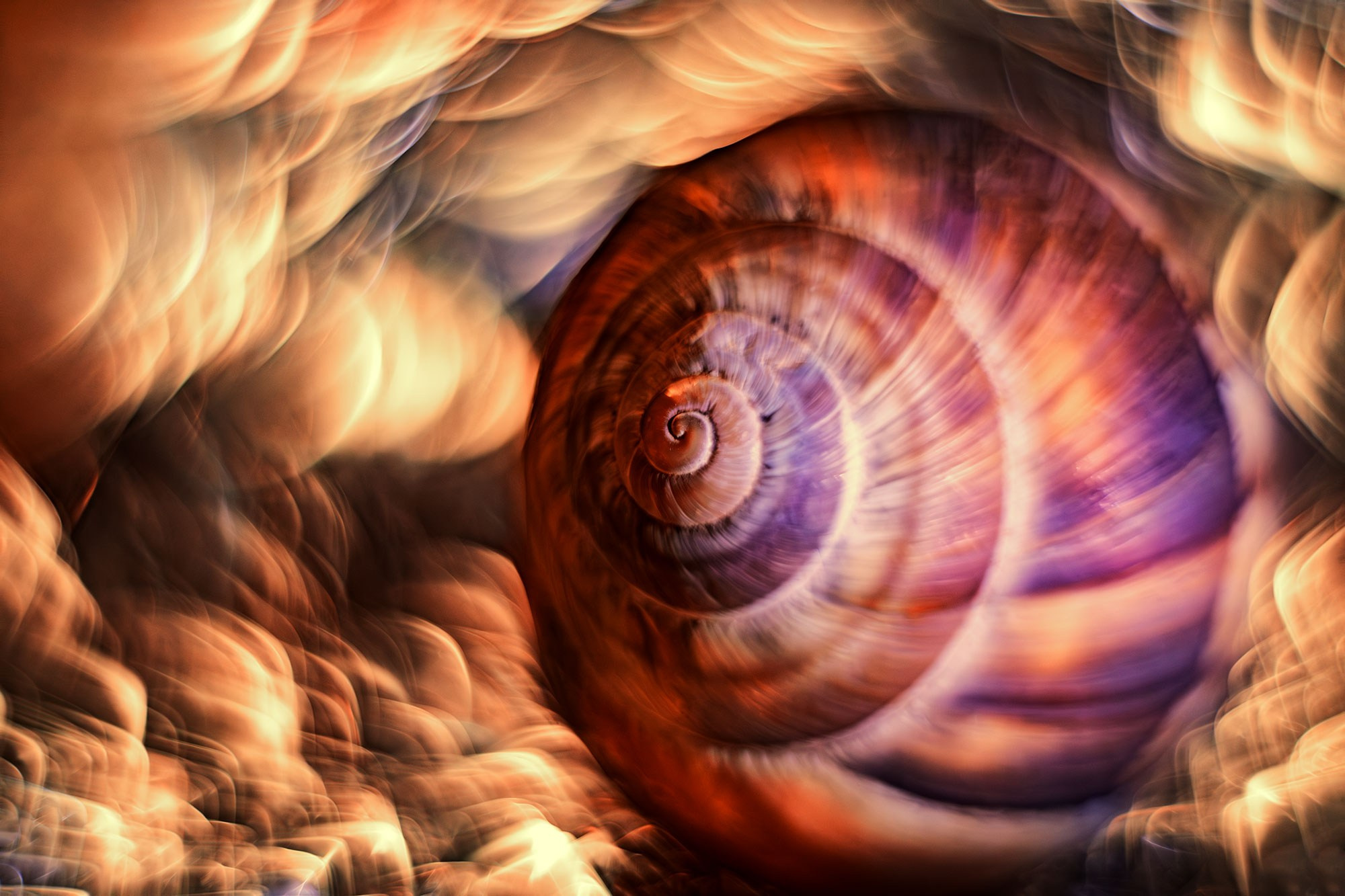 фотограф в Геленджике, фотограф Геленджик