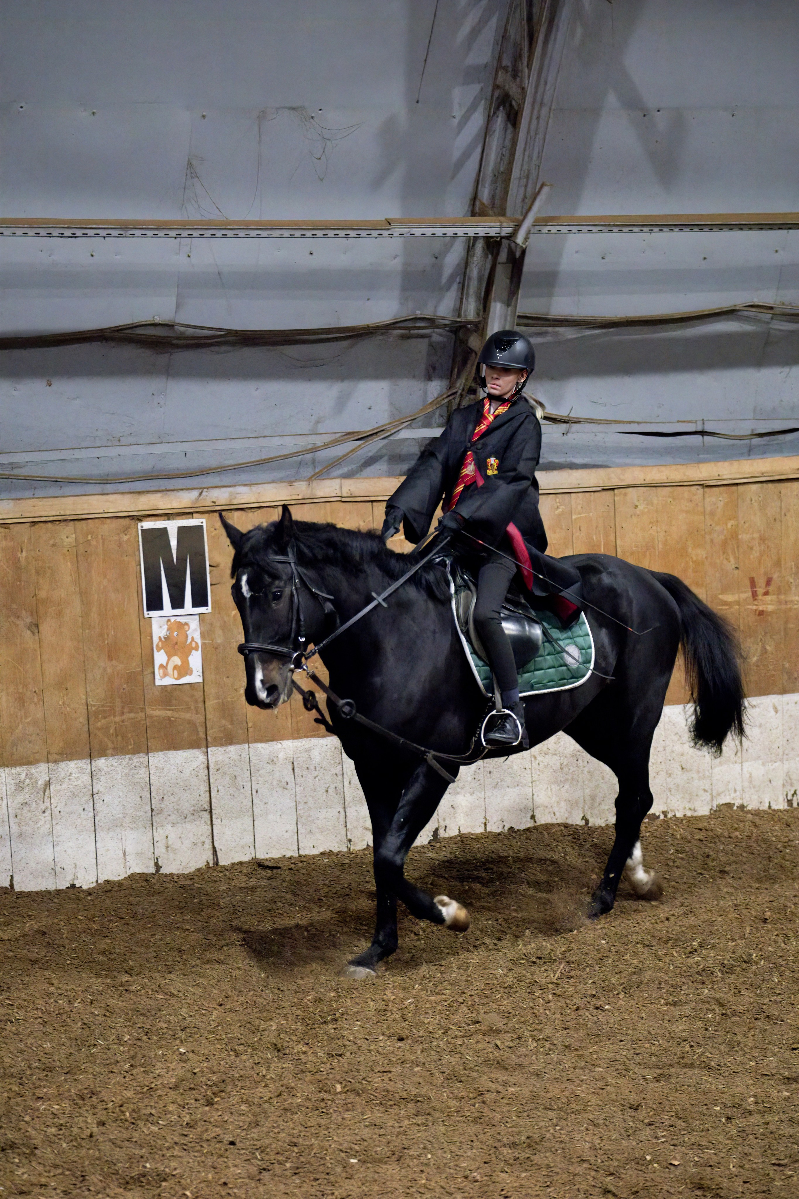 Волшебный турнир в Конно-спортивном клубе «АЛЛЮР» Нижний Новгород. Добро пожаловать в студию «Цифровой скульптор»  где искусство встречается с технологиями!
