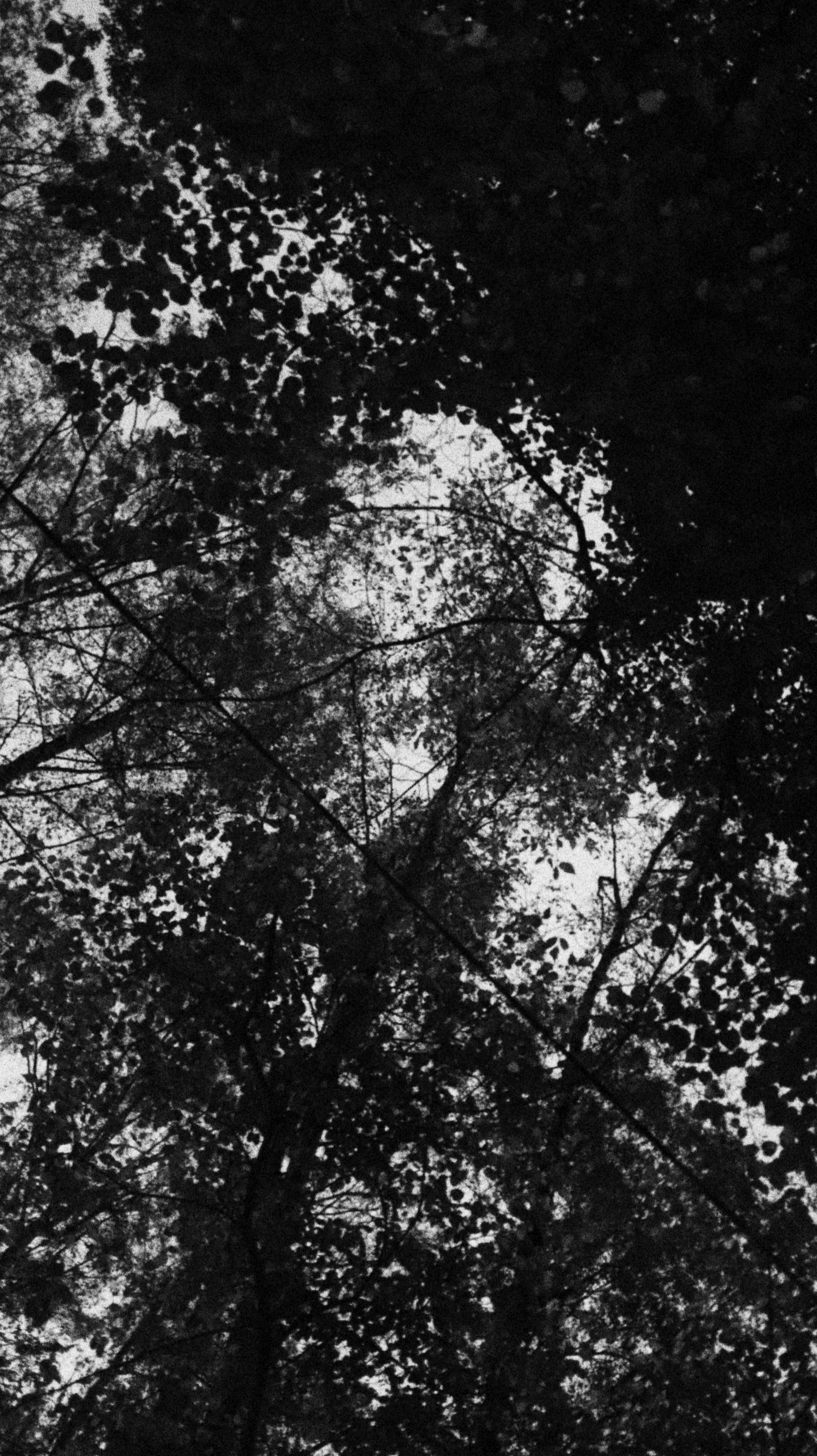 Street. Joseph Anton