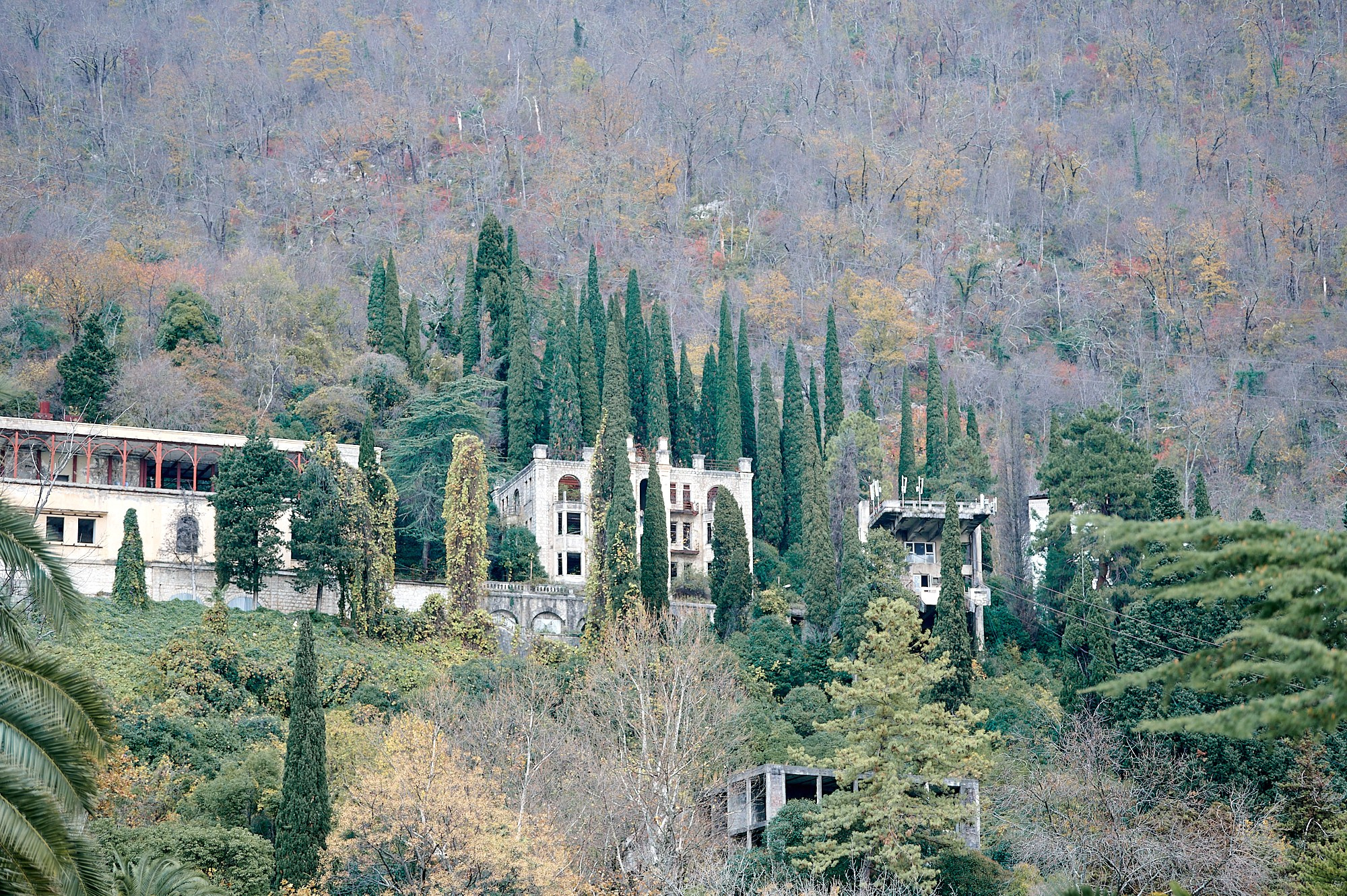 Гагра, Абхазия. Декабрь 2024. Фотографии отовсюду и обо всем