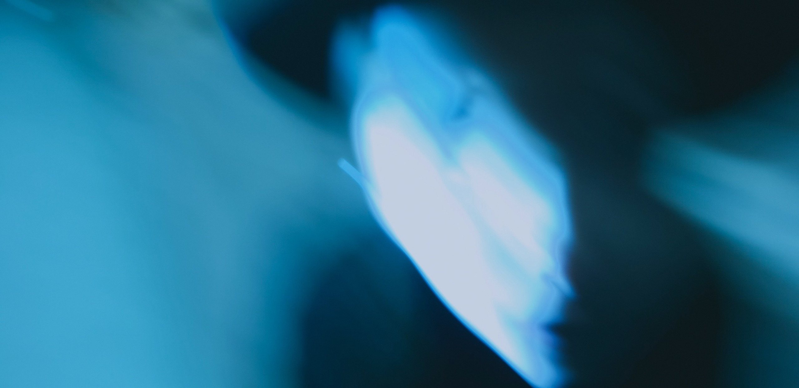 Фотограф в Казани Чебакова Александра