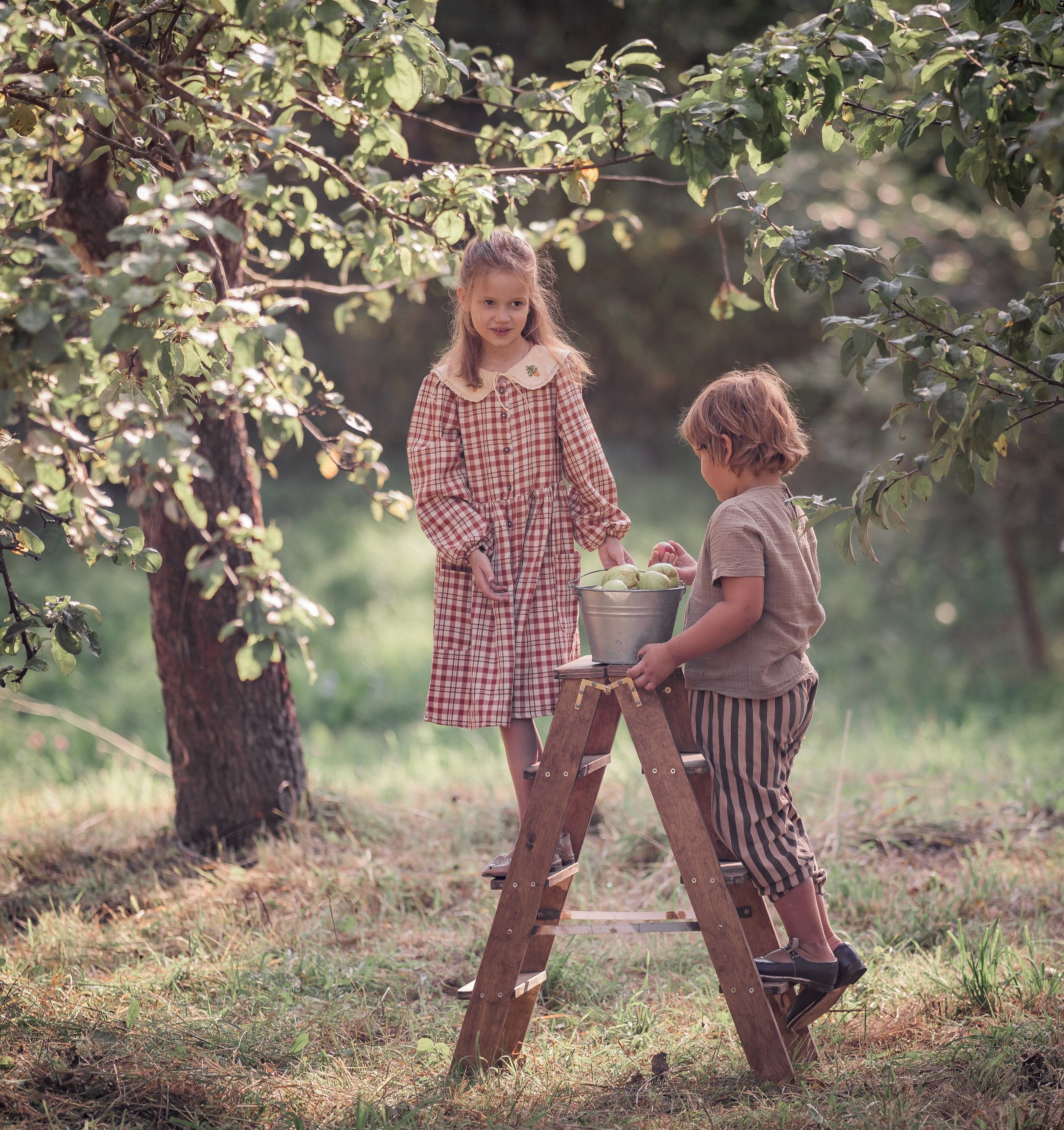 Яблочный сад. Семейный фотограф Ефремова Виктория