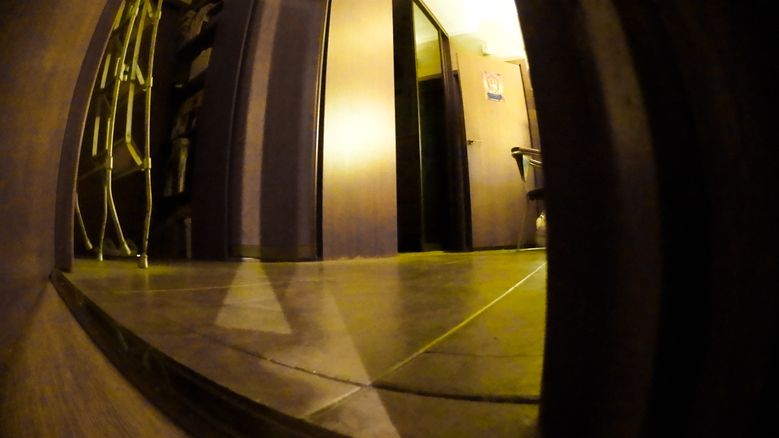 Гости. Fedor Kalinin