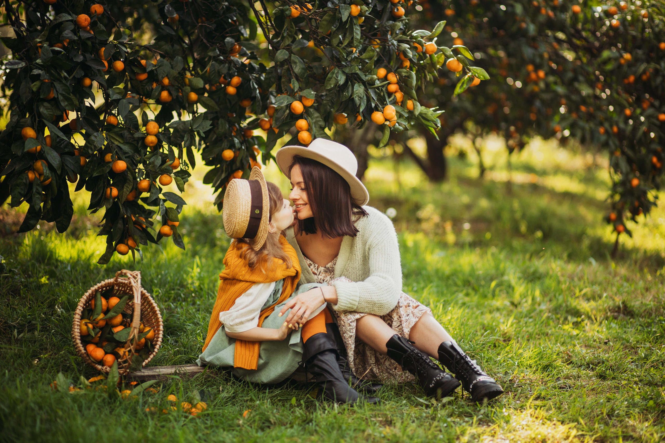Мандариновая роща. Фотограф Сочи Татьяна Зорина