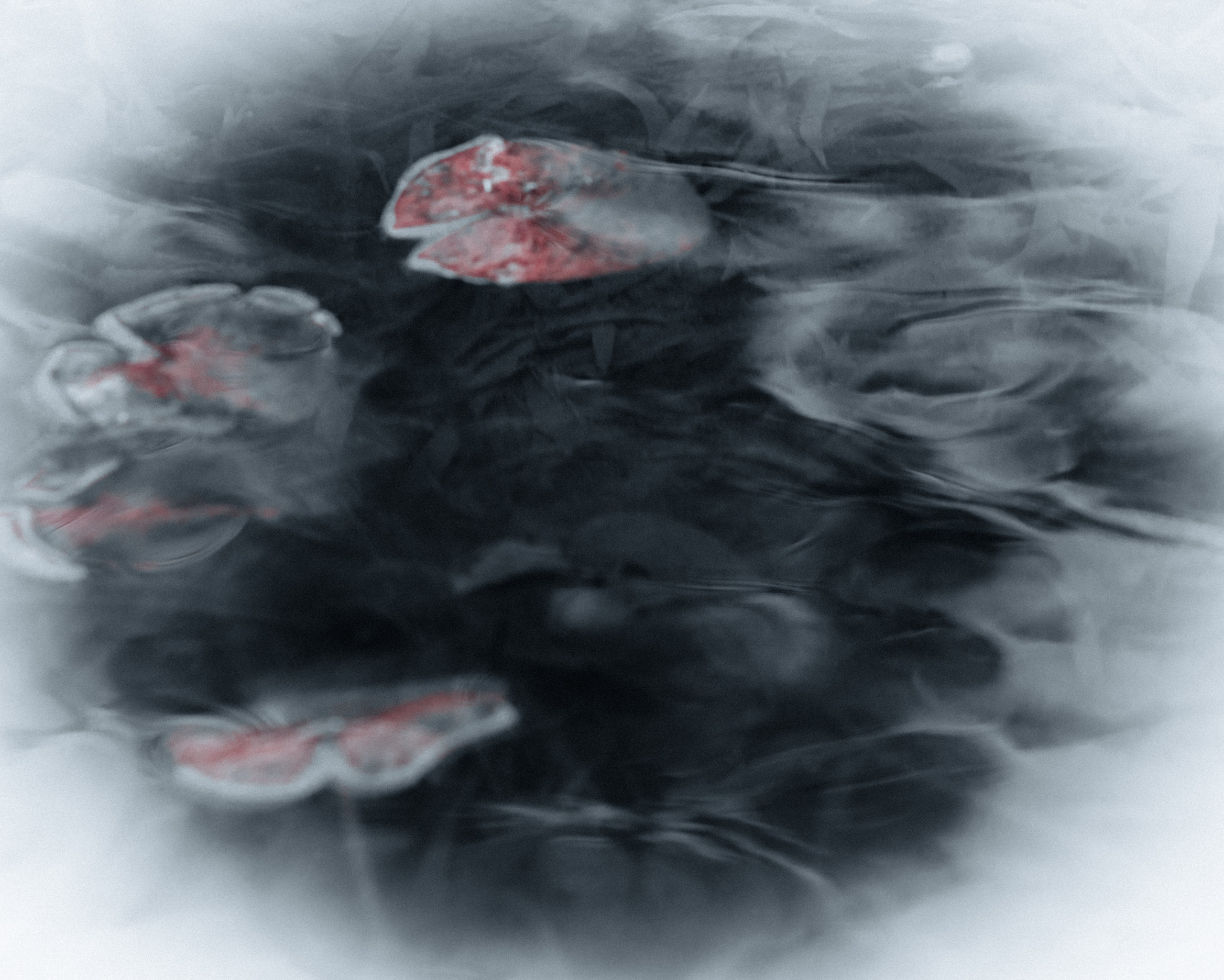 Silence. Главная