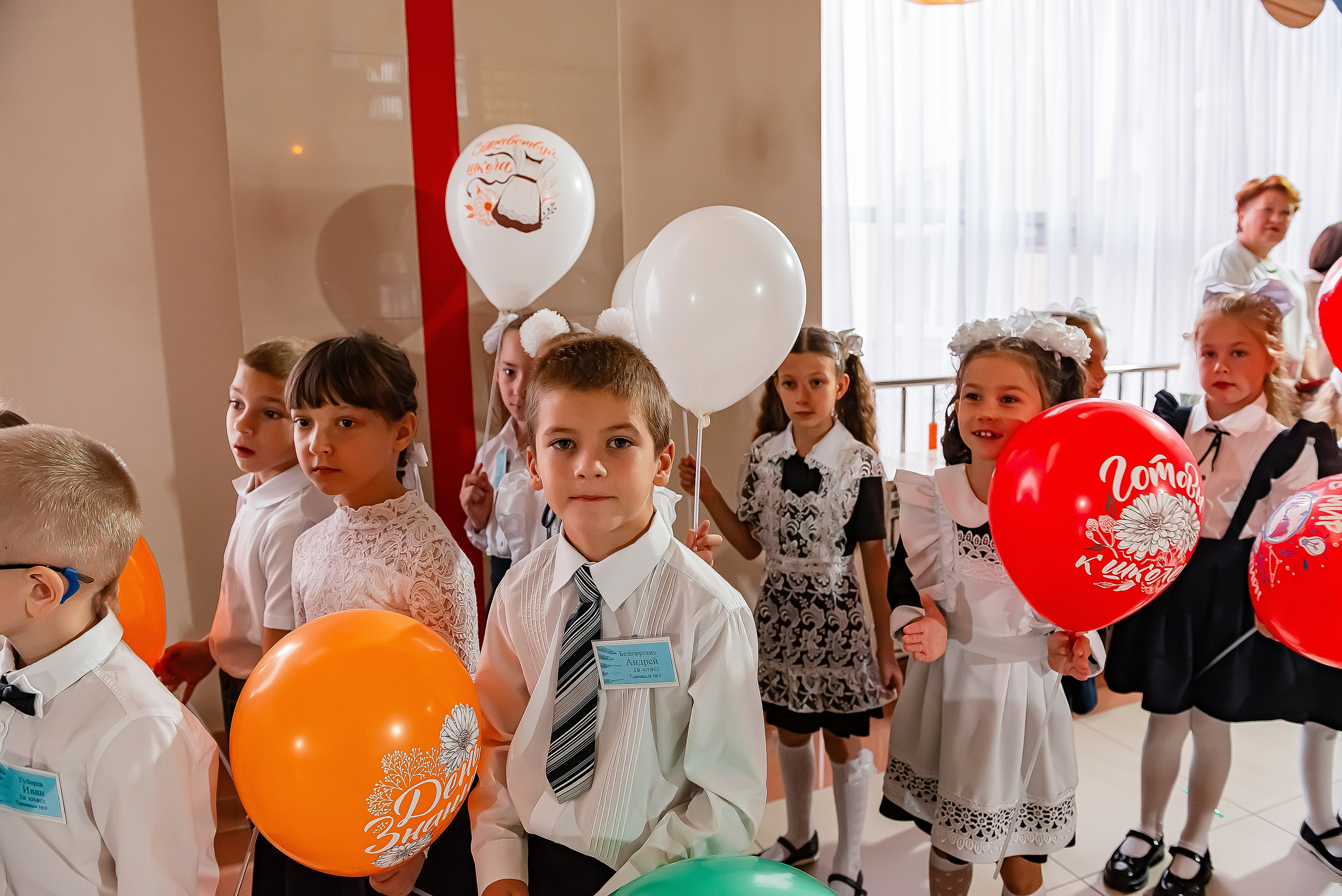 1 «В» | Гимназия № 3| г. Белгород |2024. ALBUMIA