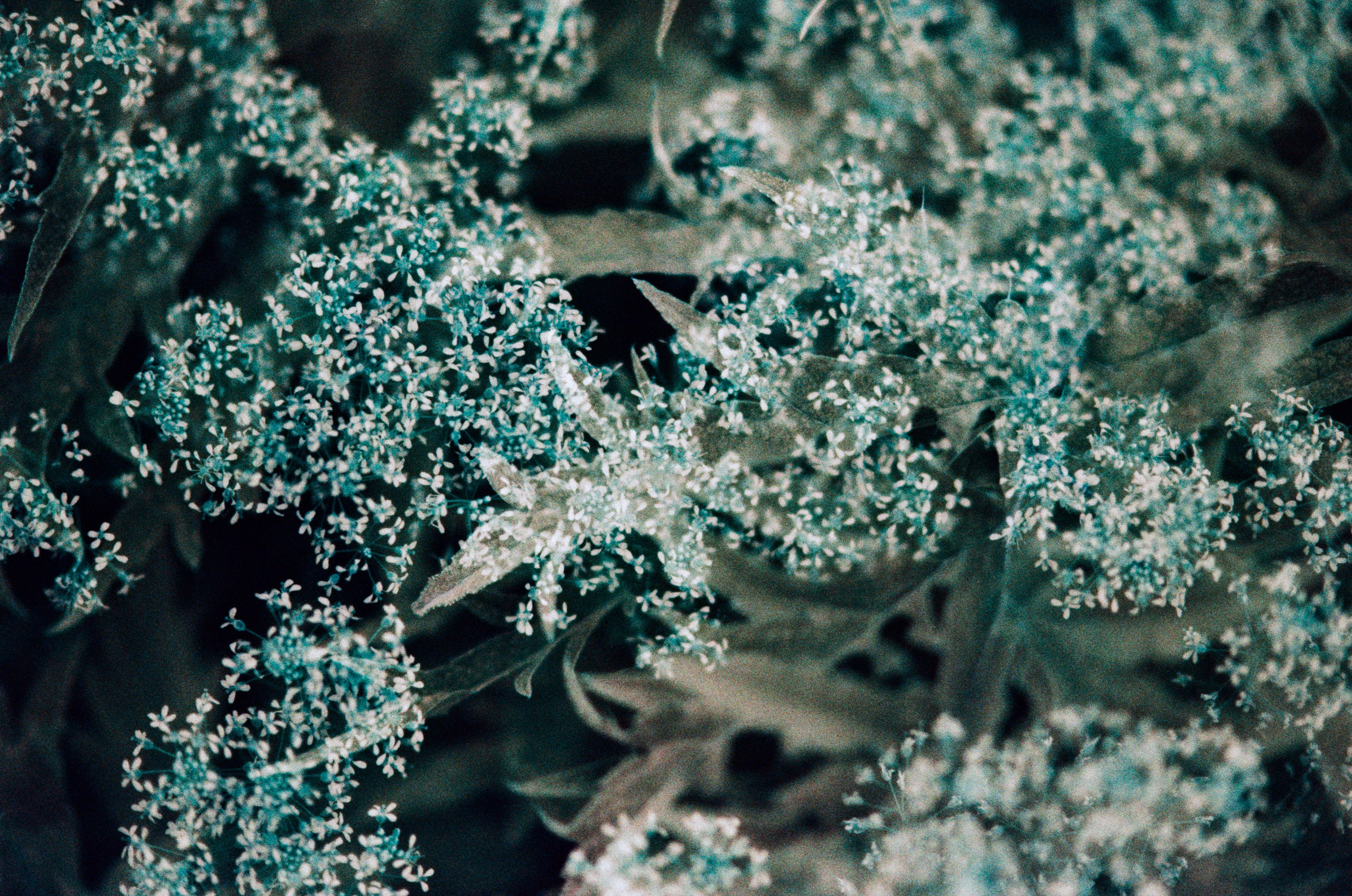 Pain shopping // ukraine, crimea VII. EVER EXPOSED