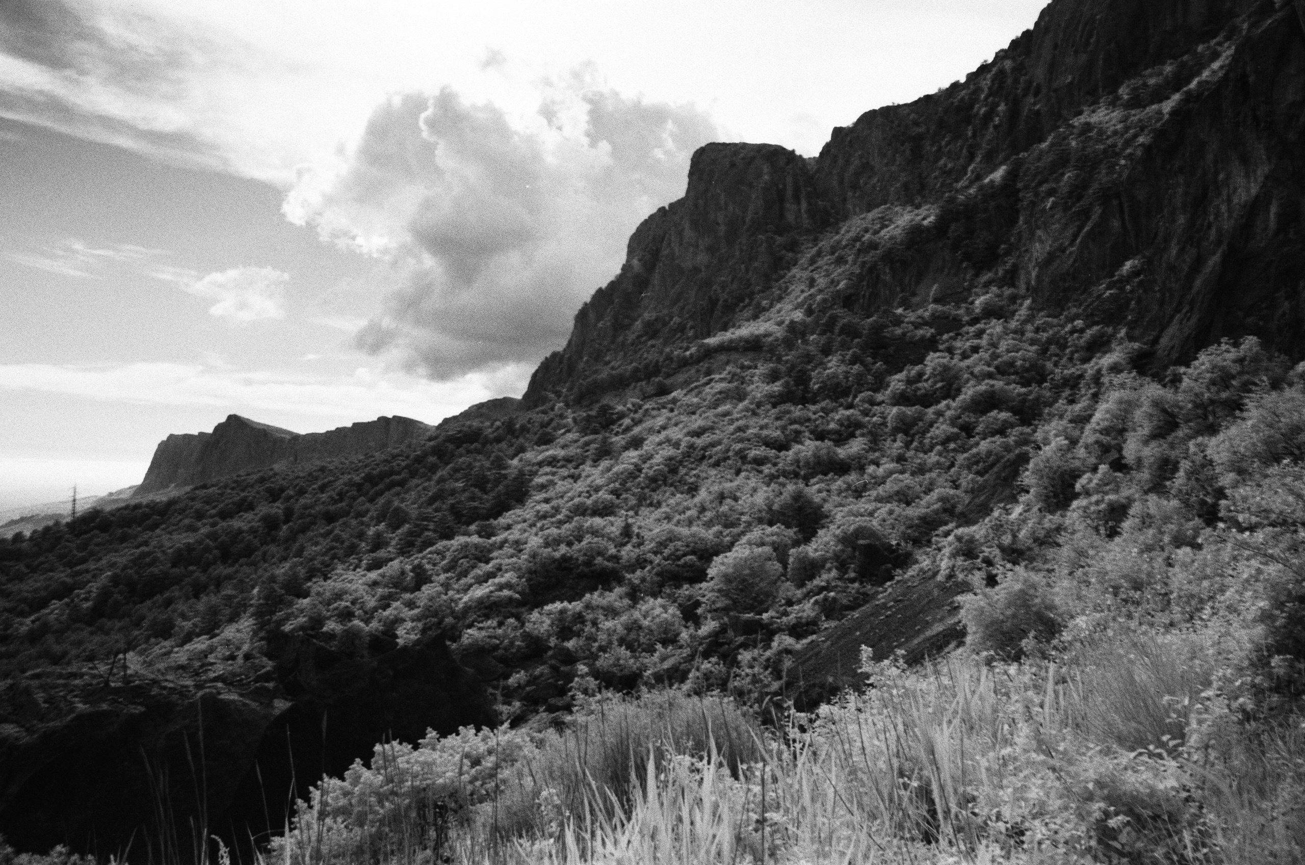 Point of no reply // ukraine, crimea VII. EVER EXPOSED