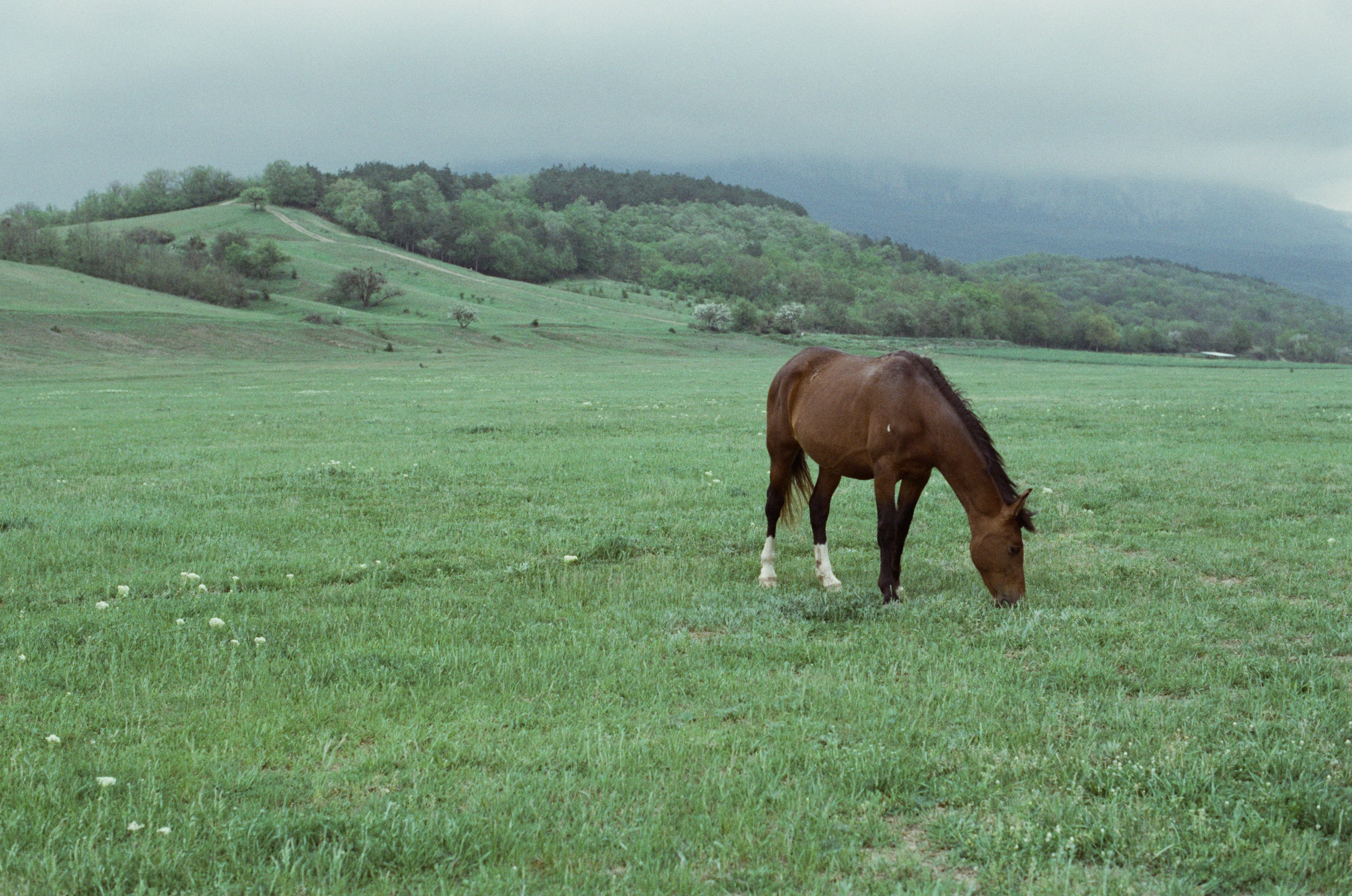 Some kind of madness // ukraine, crimea III. EVER EXPOSED
