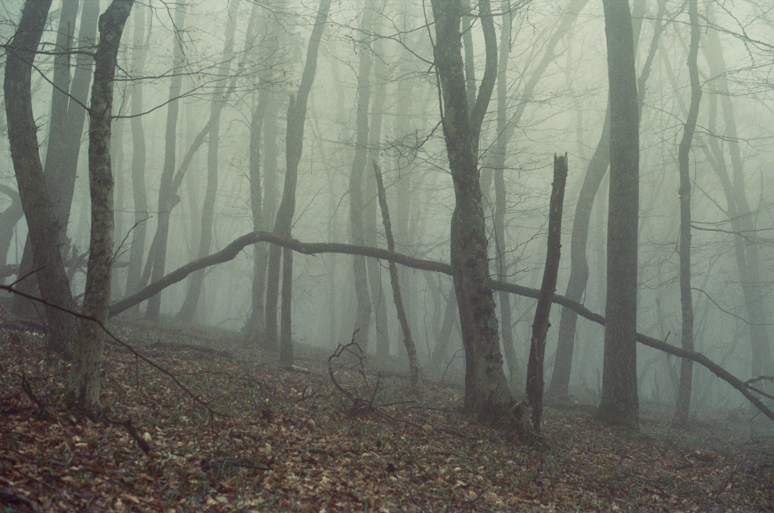 Some kind of madness // ukraine, crimea. EVER EXPOSED