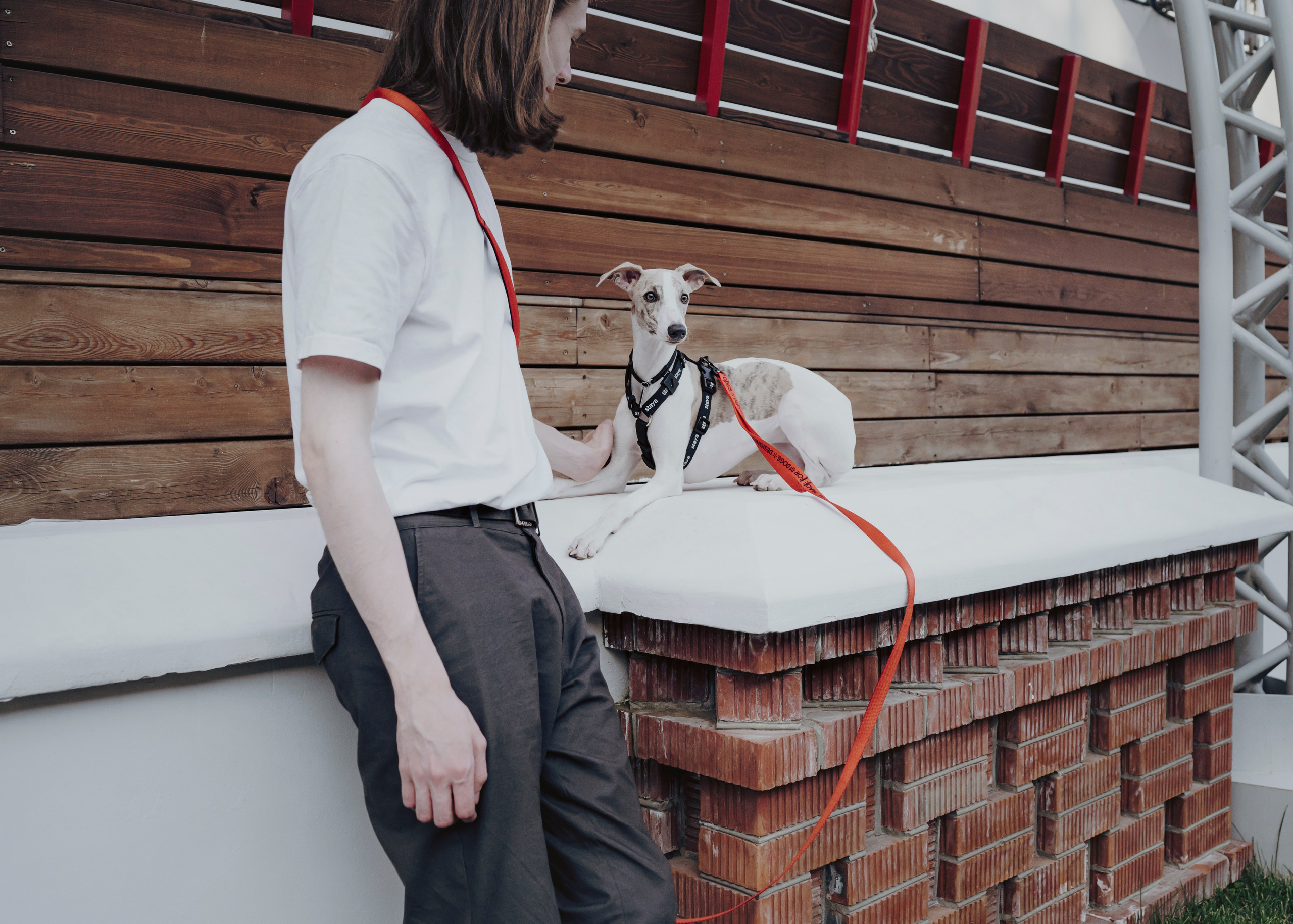 Ветка. Фотограф- анималист Александра Матвеева