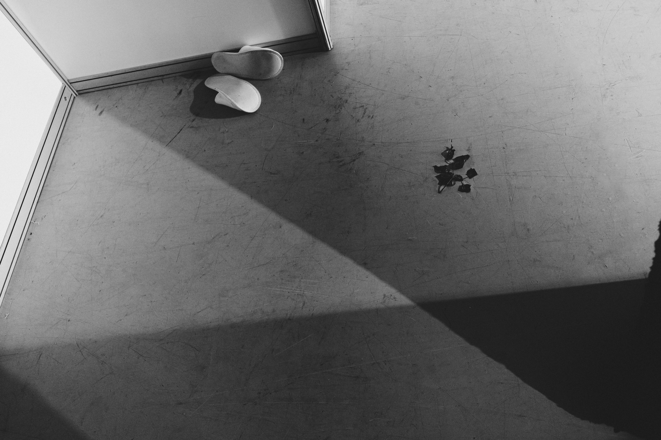 Репортаж с недели моды в Ростове на дону DonFashionWeek