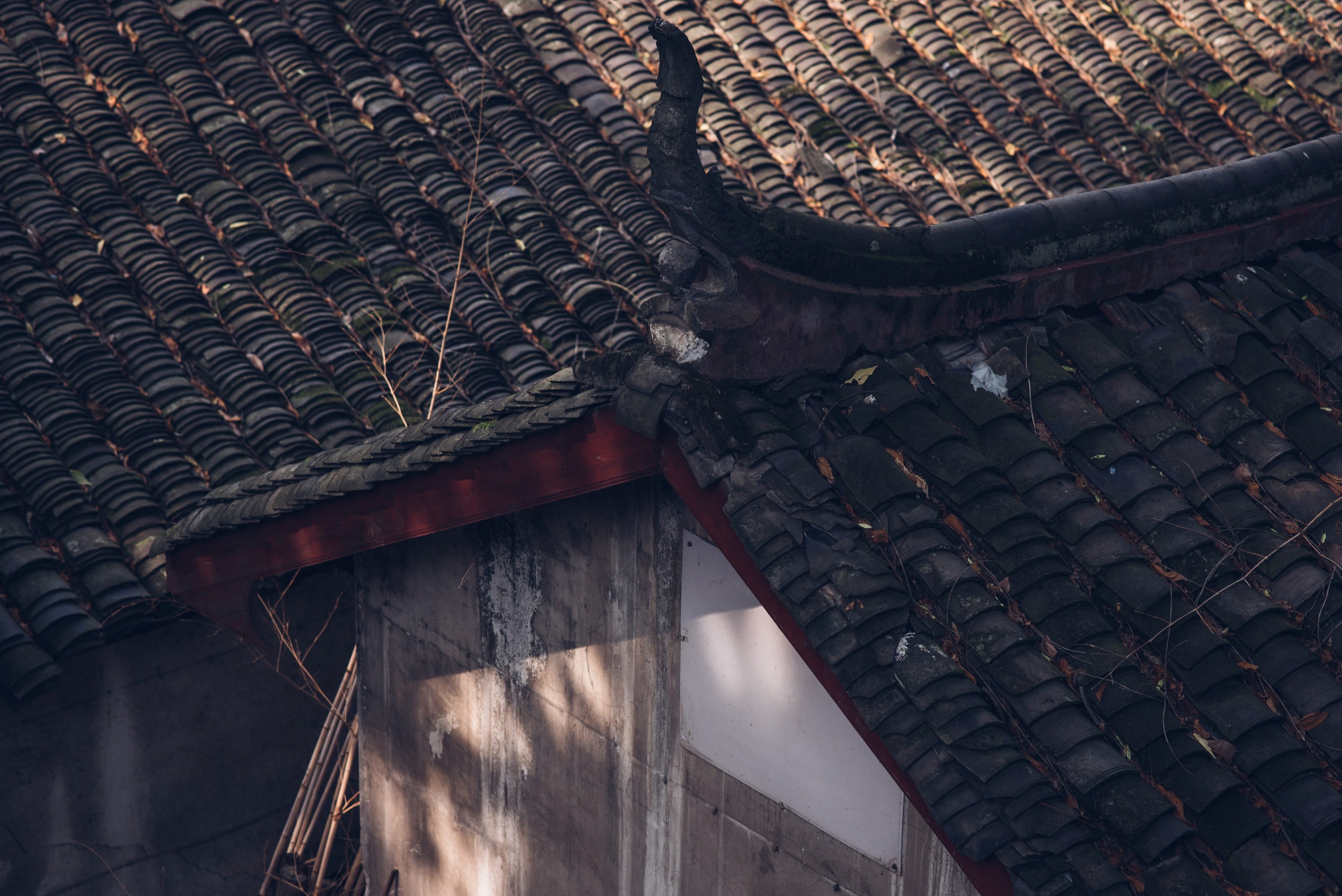 Рекламный фотограф из Гуанчжоу: путешествие по Уханю через объектив камеры. Коммерческий и предметный фотограф в Гуанчжоу Коваленко Александр