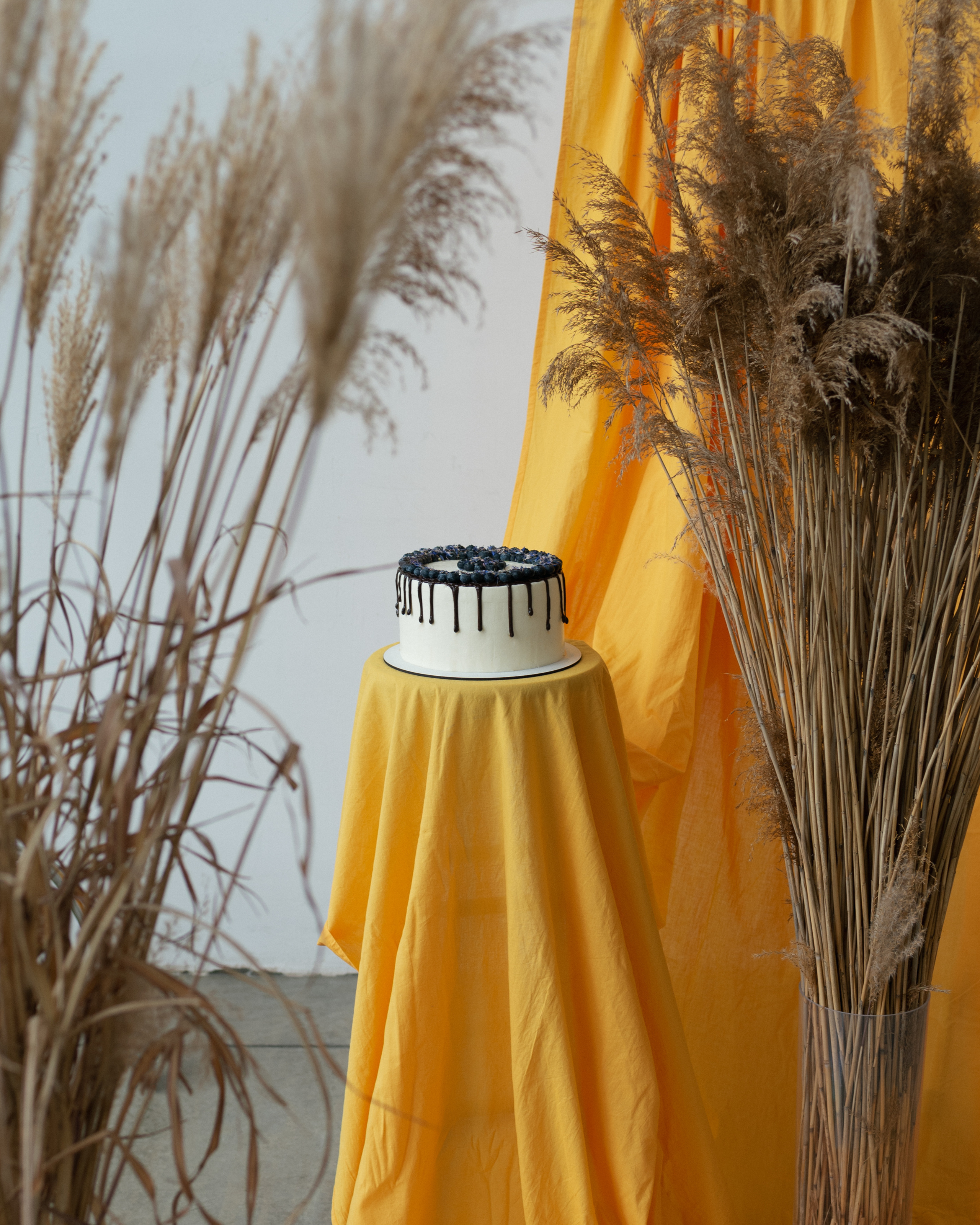 Projects. Orunek photo (portrait photographer in Da Nang)