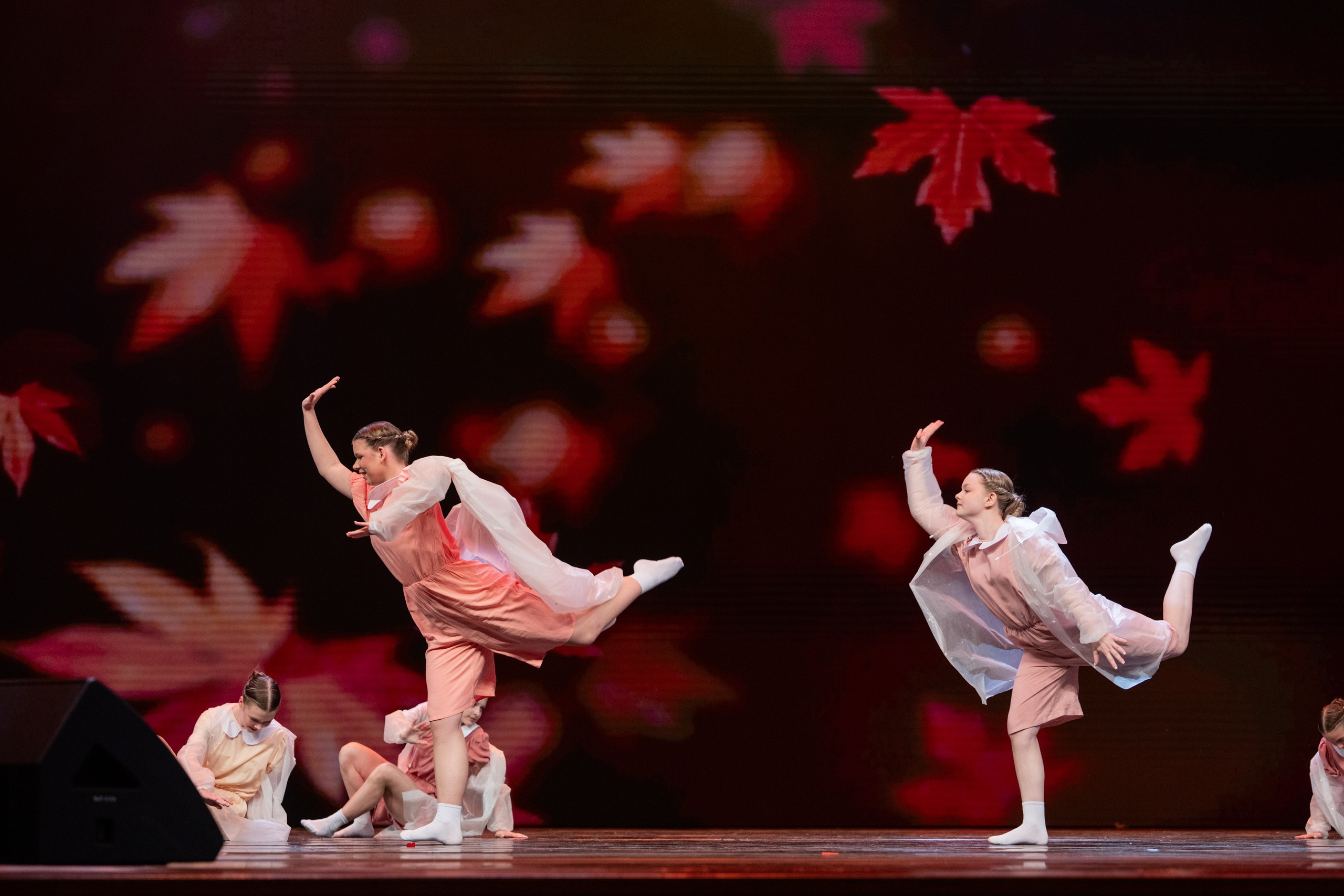 18 мая, г. Москва, Кремль, Концерт. Золотое яблочко