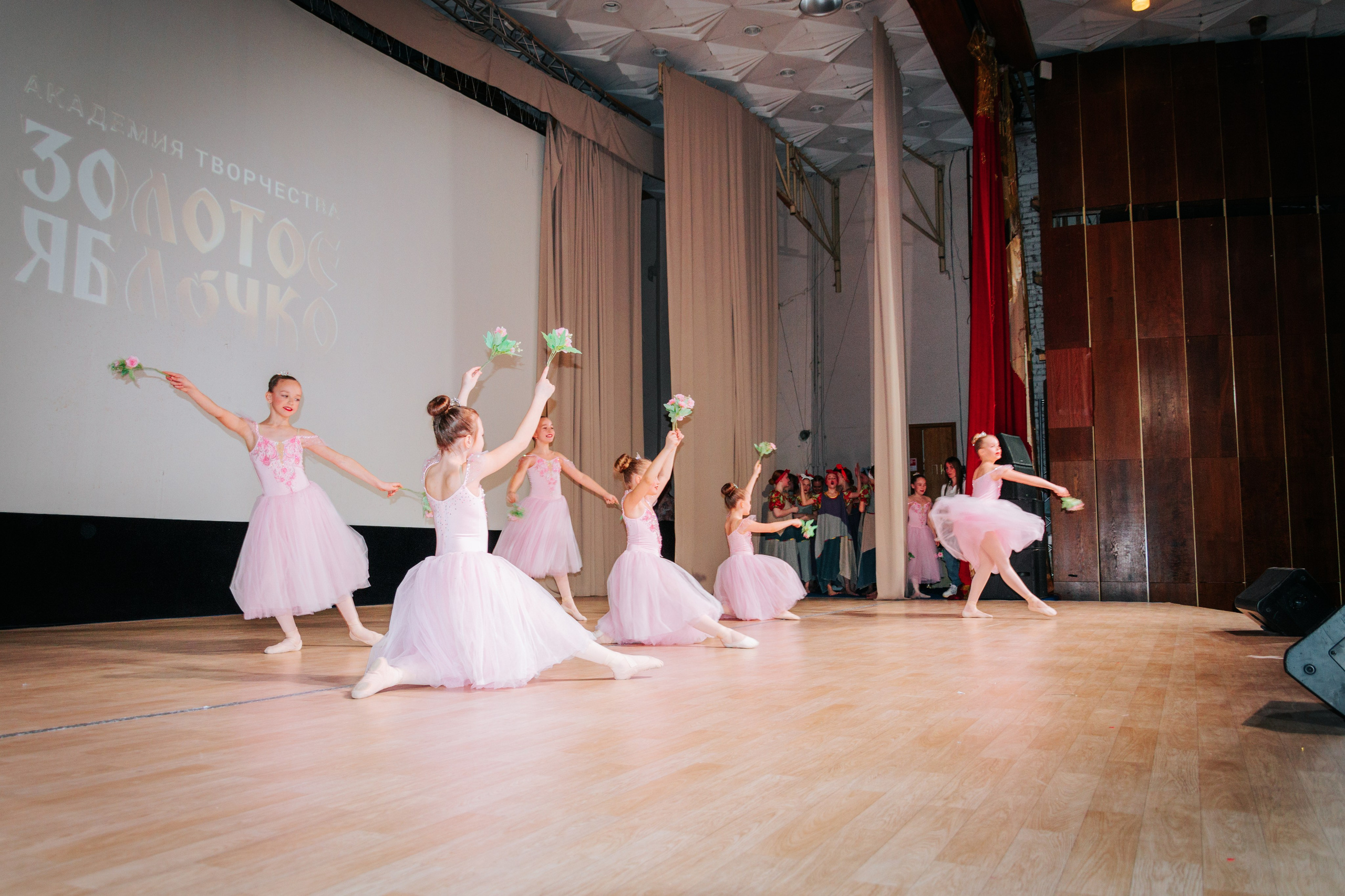 16 марта, г. Суздаль. Золотое яблочко