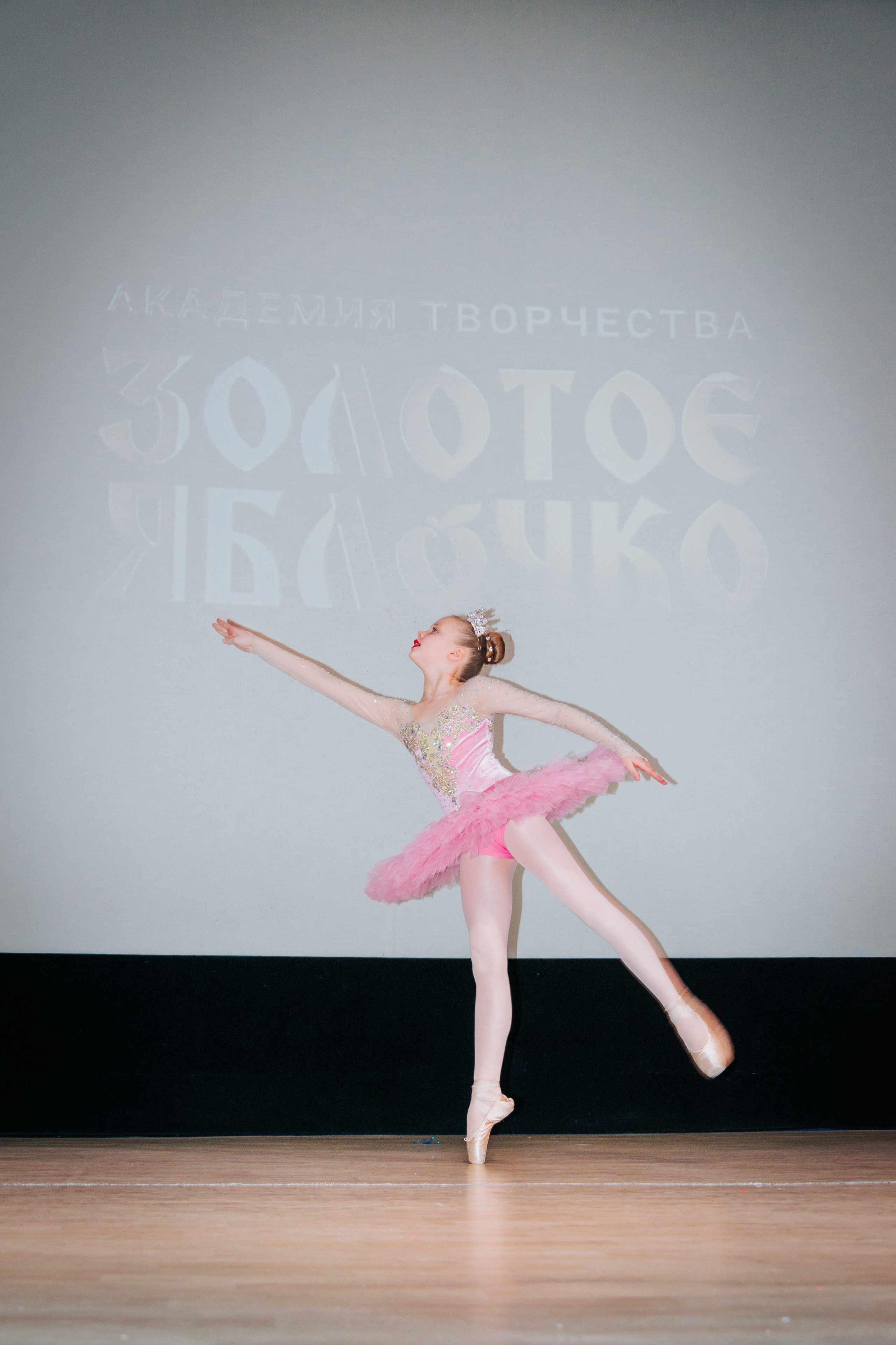 16 марта, г. Суздаль. Золотое яблочко