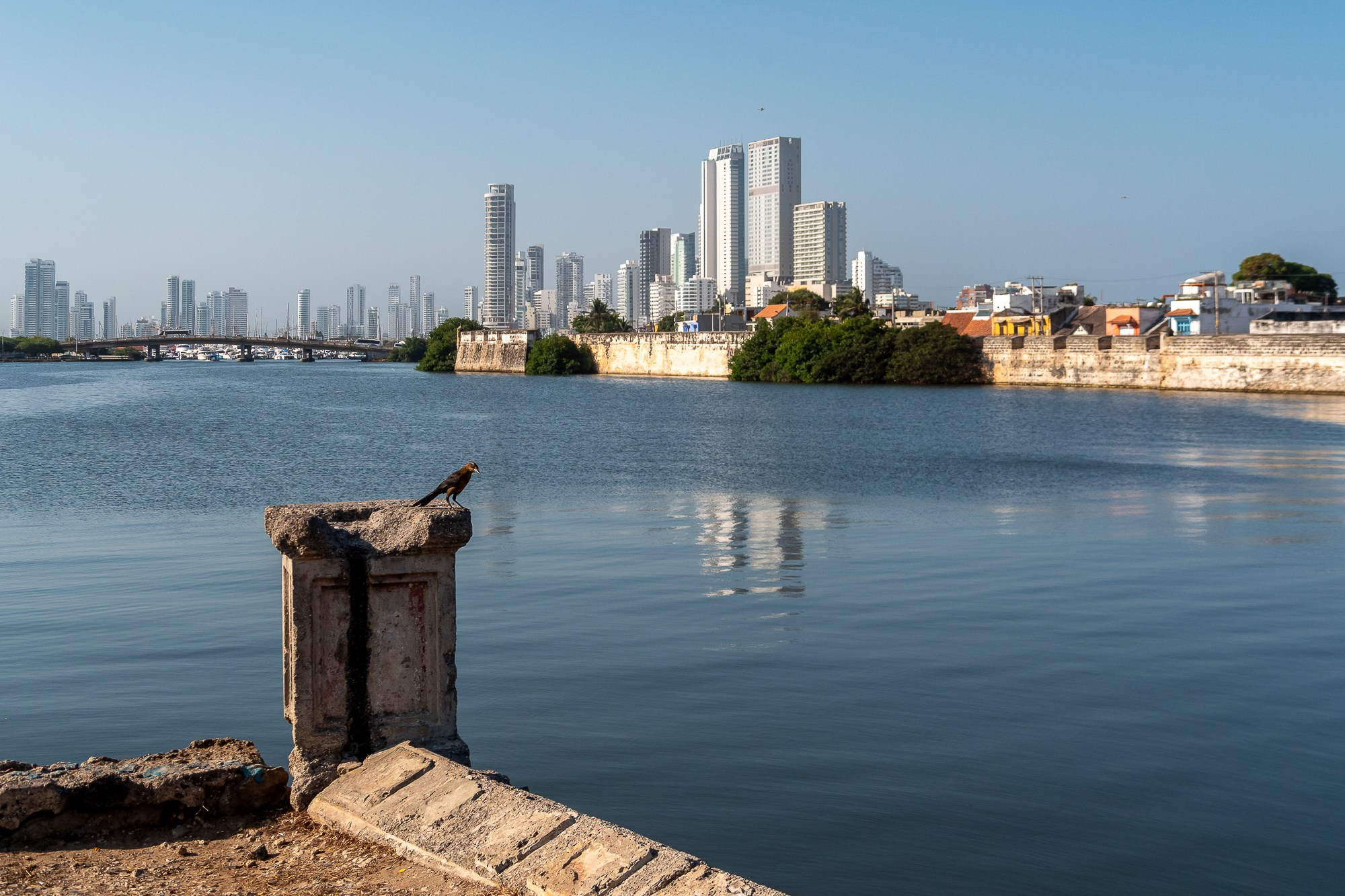 Алексей Скоробогатько, фотограф  г. Картахена, Колумбия. Alexey Skorobogatko, photographer, Cartagena, Colombia. Фотограф Алексей Скоробогатько