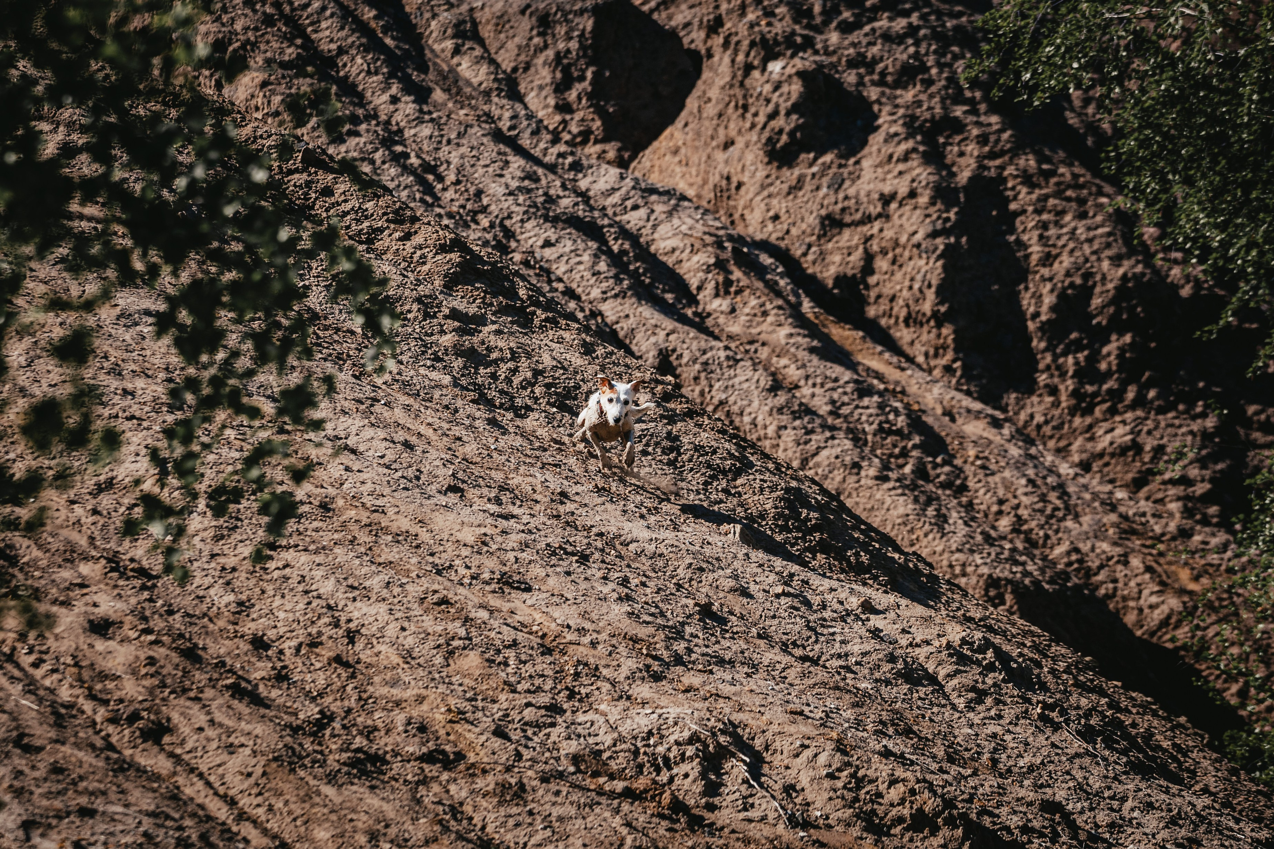 Кондуки. Фотограф-анималист Татьяна Степанова