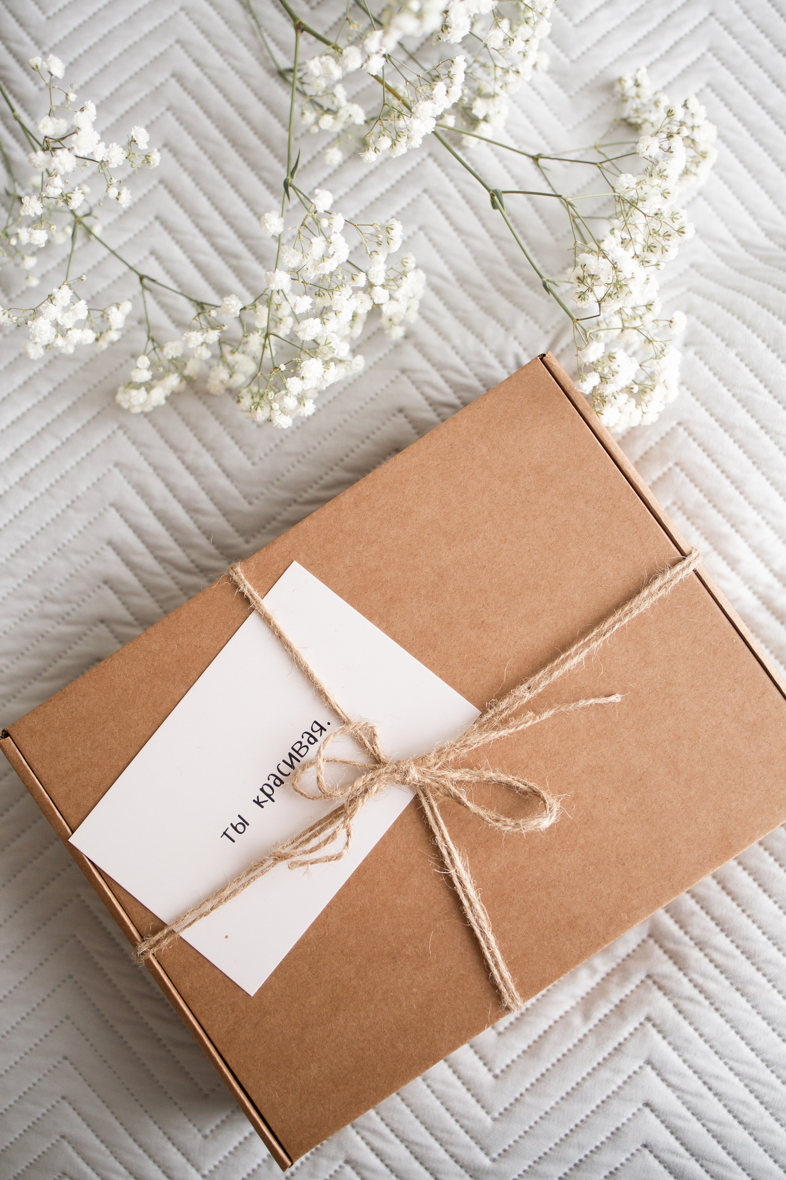 Gifty Pleasure. Фотограф в Санкт-Петербурге Ангелина Вражевская