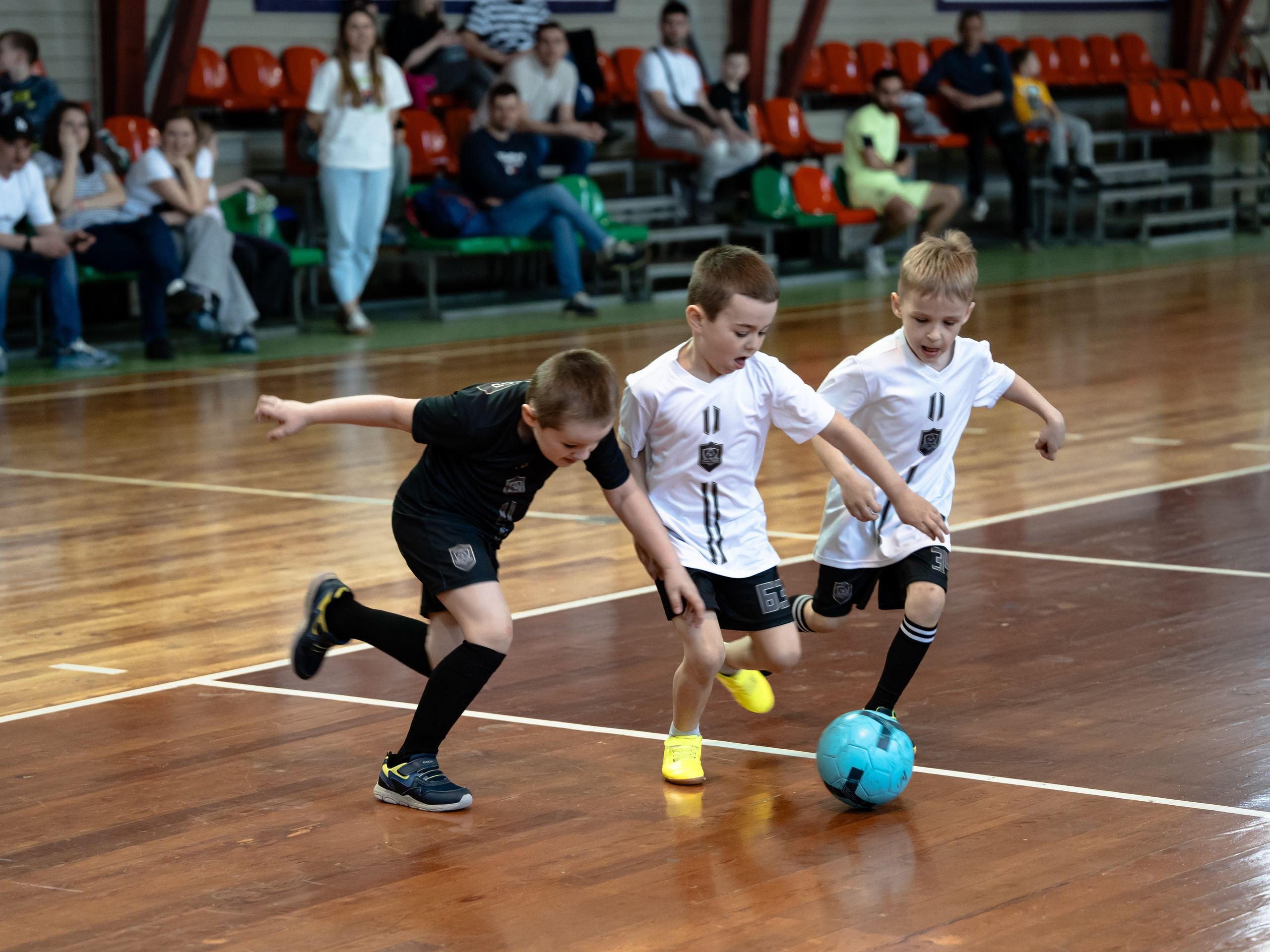 Тики-Така Противостояние 2025. Крамер Юлиана детский и семейный фотограф