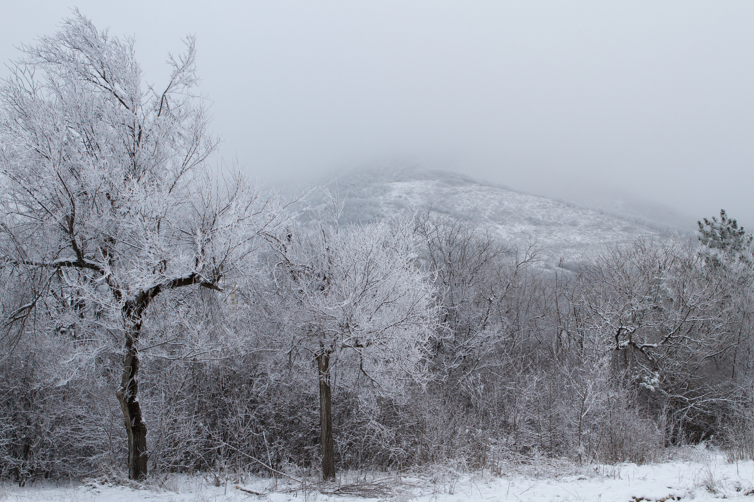 Машук, Пятигорск