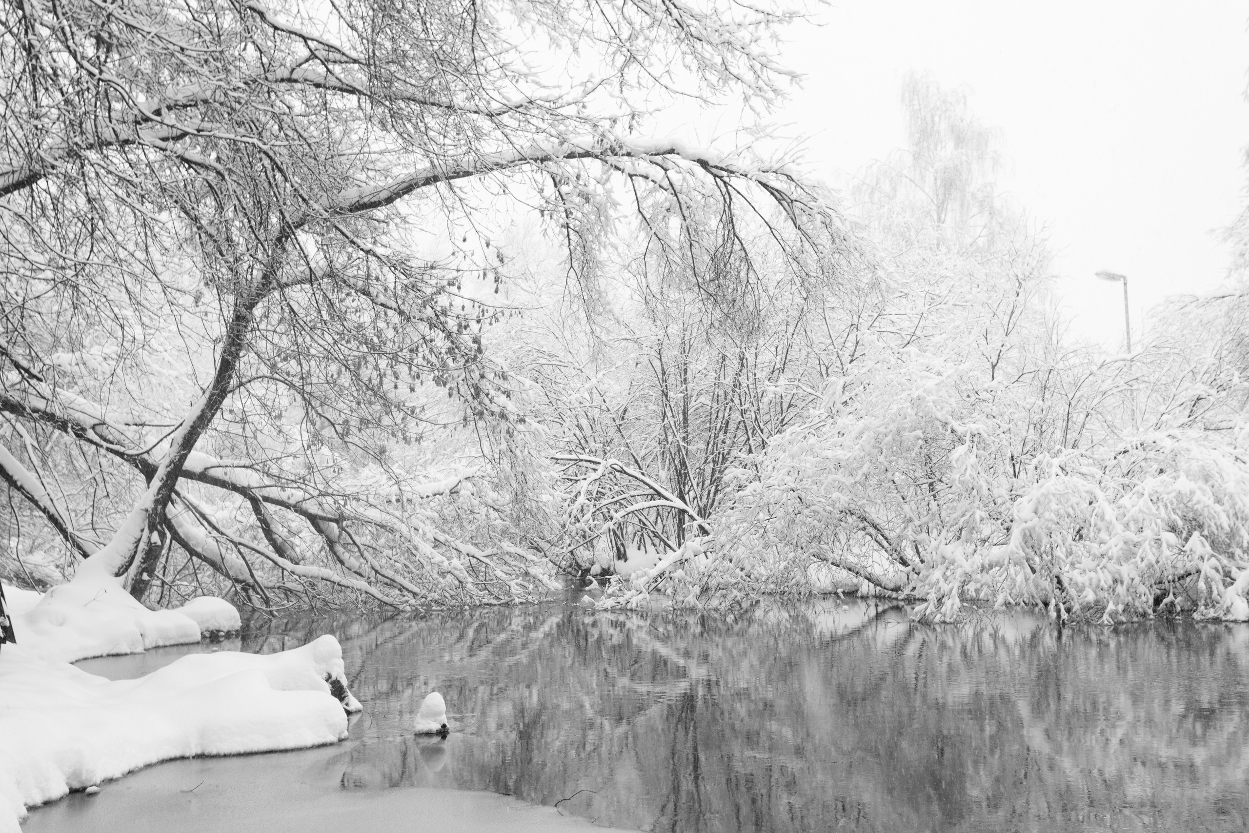 Зима, парк, сквер по Олонецкому проезду, Москва