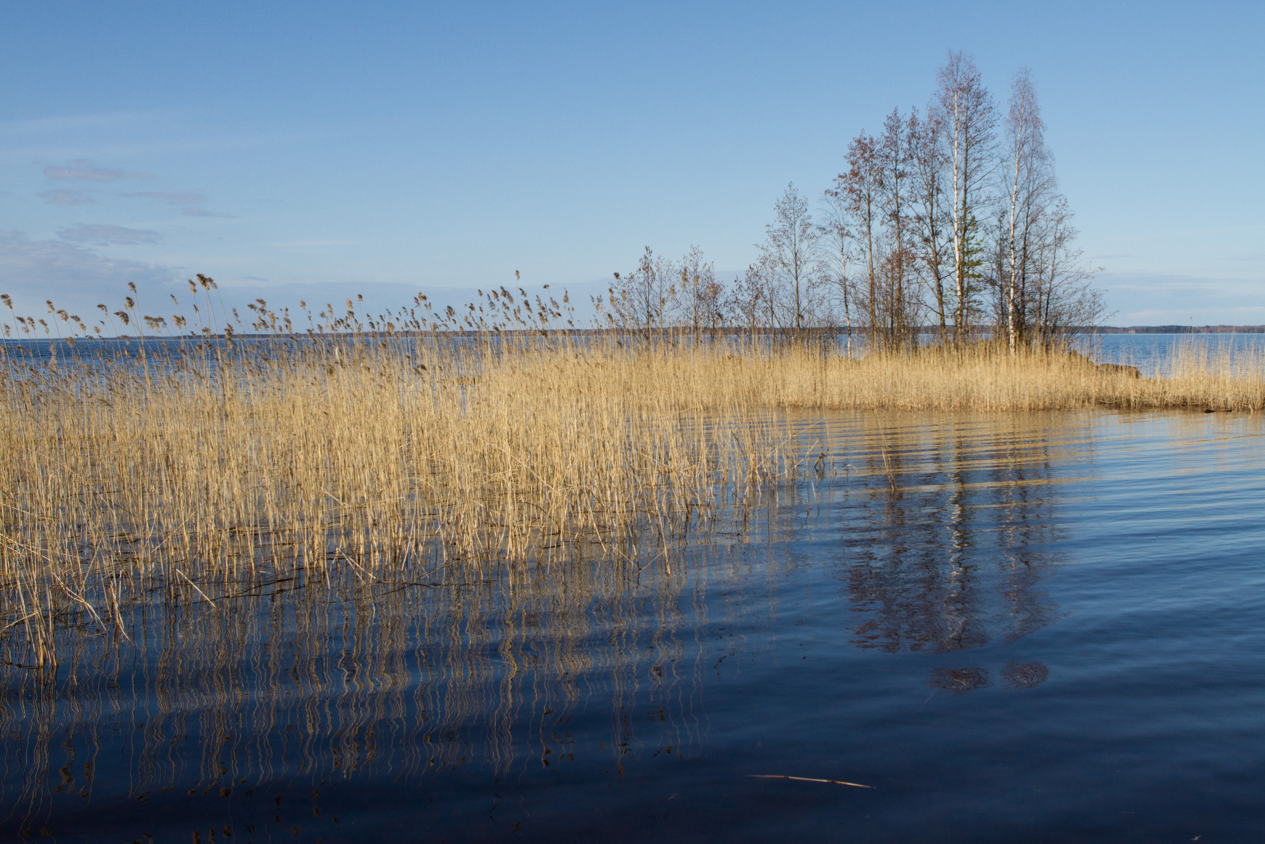 Озеро Пюхяселькя, Йо́энсуу, Финляндия