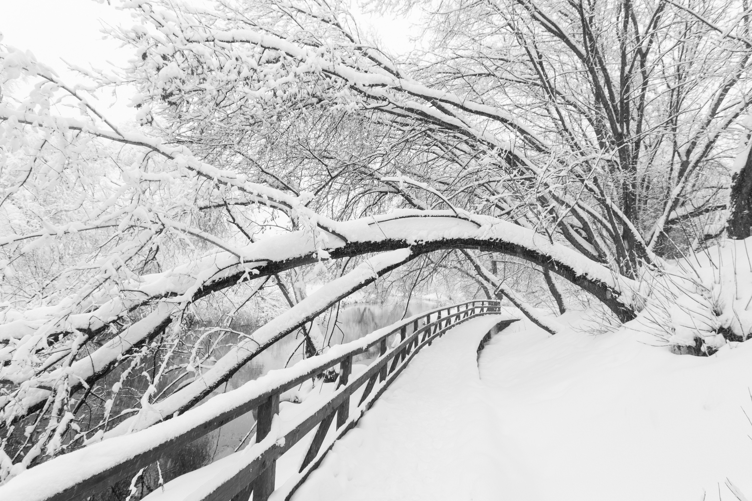 Зима, парк, сквер по Олонецкому проезду, Москва