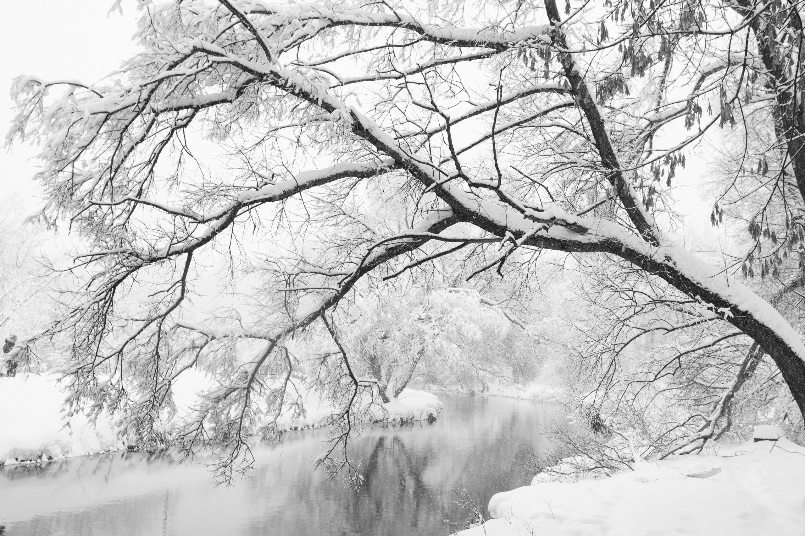 Зима, парк, сквер по Олонецкому проезду, Москва