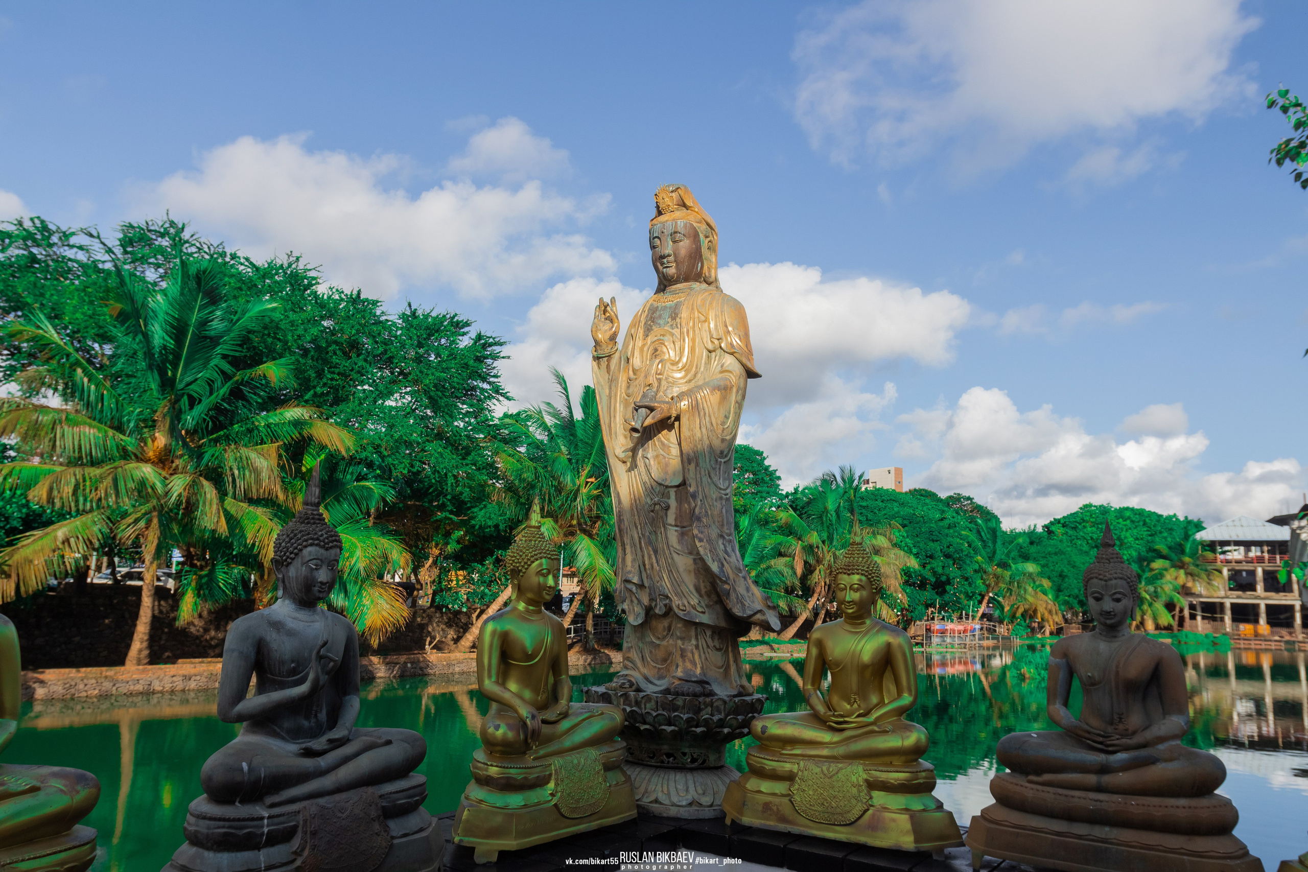 ШРИ-ЛАНКА 2025 / SRI LANKA 2025. Главная