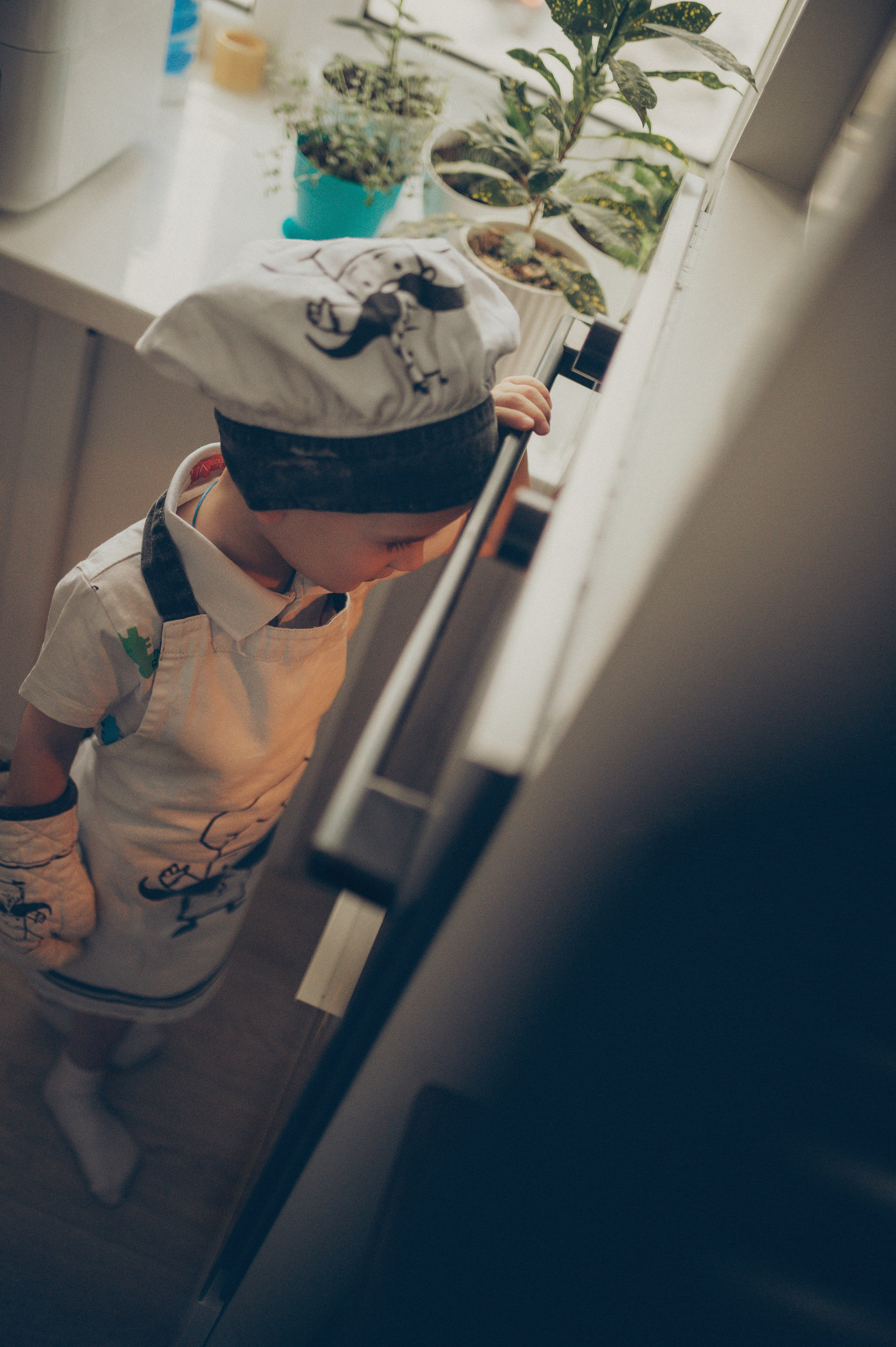 Поворята Миша и Тимофей (домашняя). Фотограф, г. Лесной Свердловской области