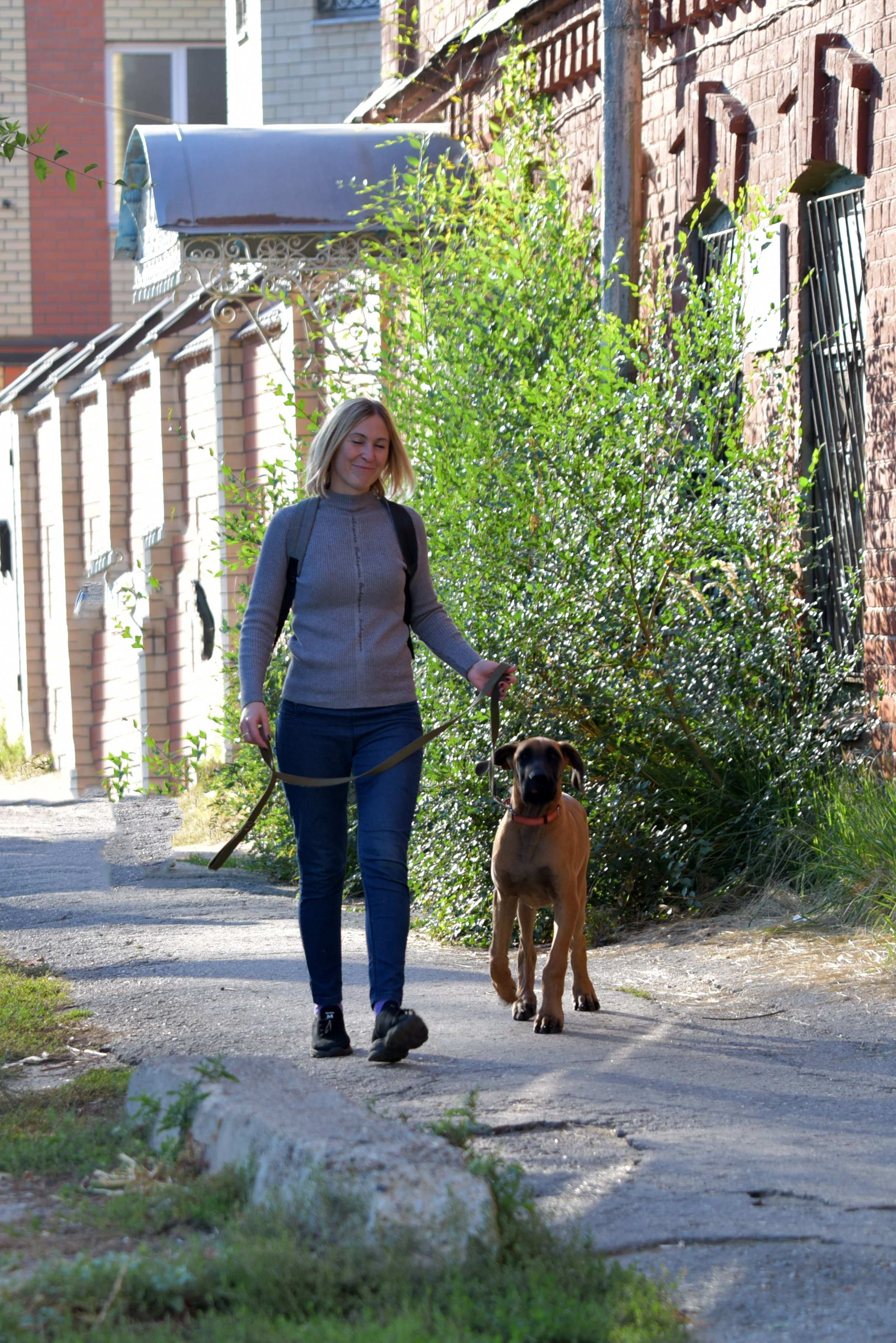 ФОТОСЪЕМКА С СОБАКАМИ. Репортажный и предметный фотограф Ольга Доловова в Ульяновске