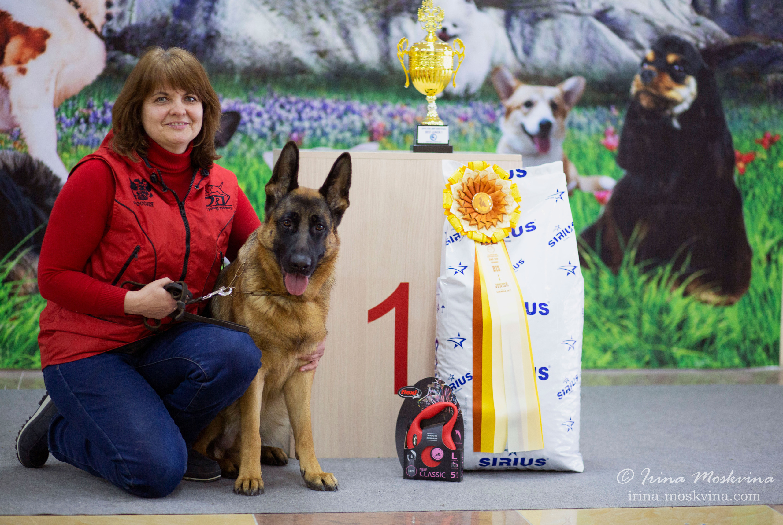 Немецкая овчарка Вайт Кастл Айка