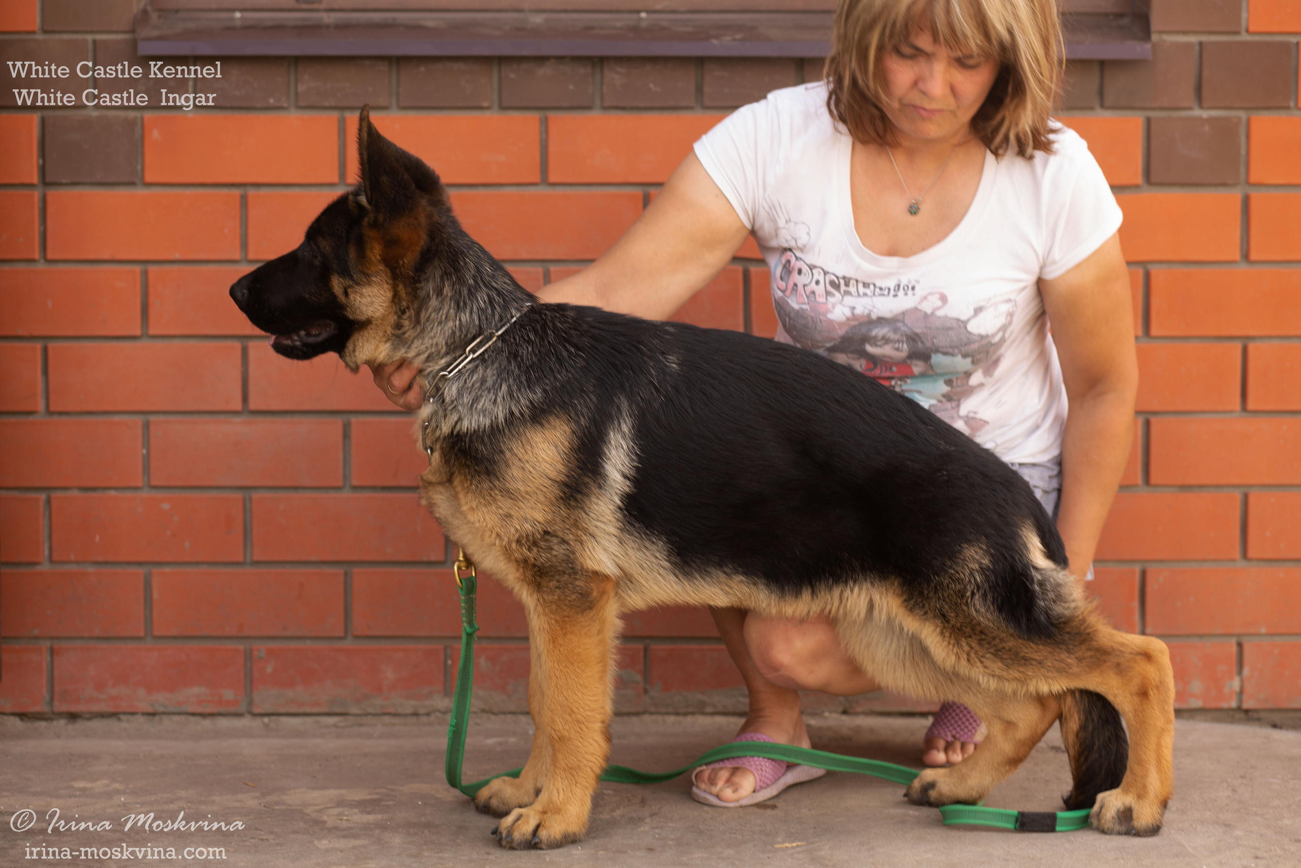 White Castle Ingar 4,5 месяца