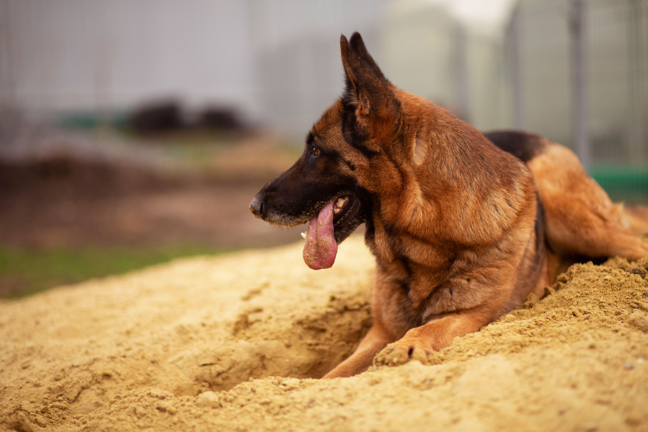 Ирина Москвина | фотограф | Москва