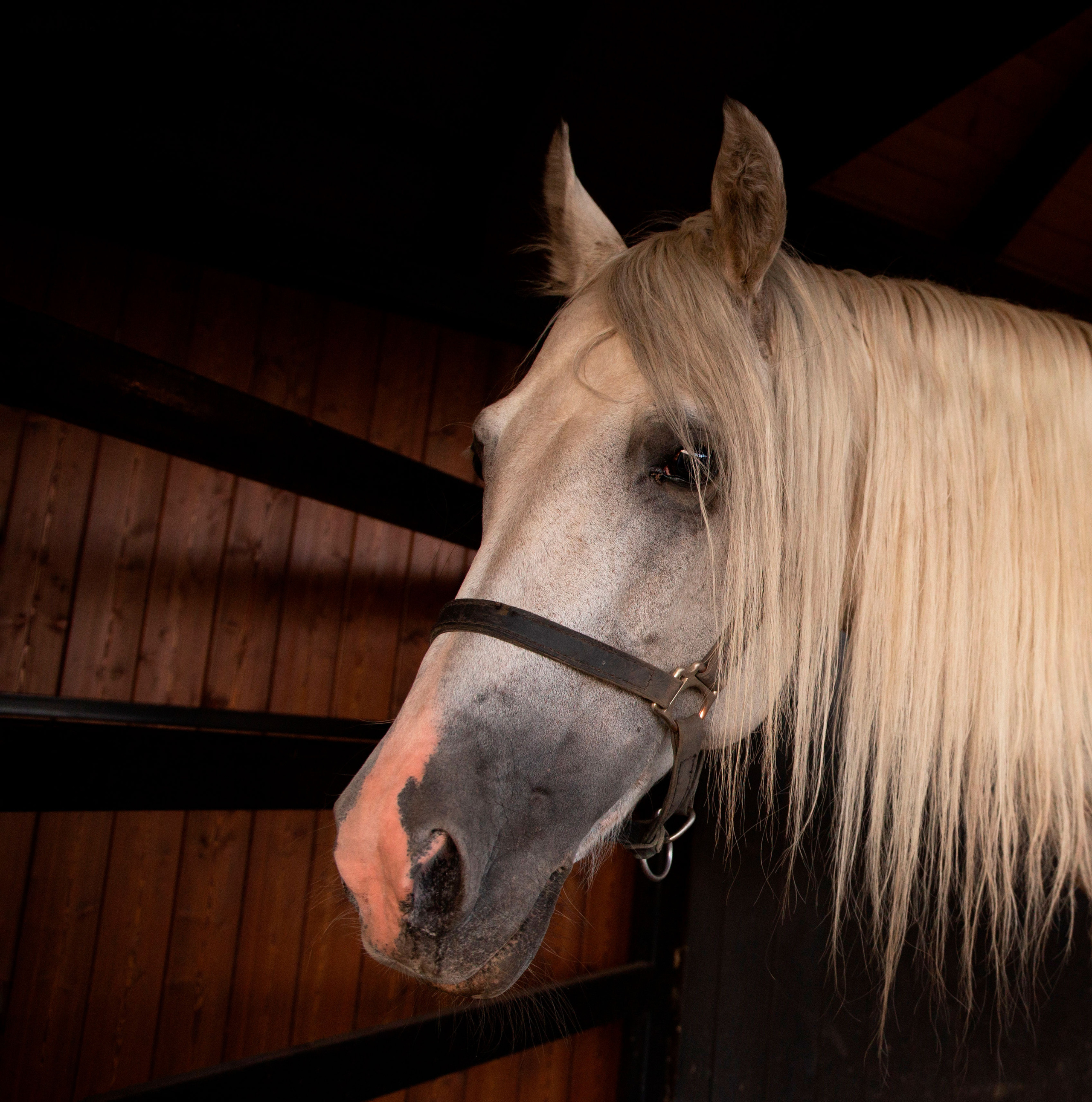 Ирина Москвина | фотограф | Москва
