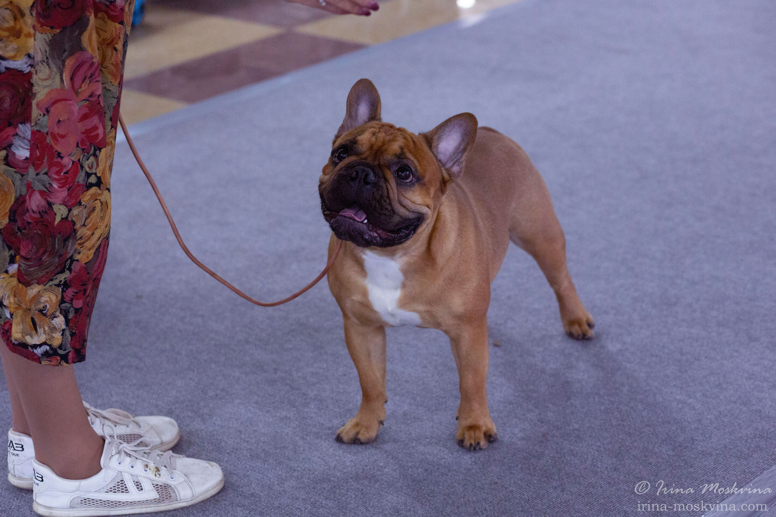 Белгород | САСIВ | 04.04.21. Ирина Москвина | фотограф | Москва