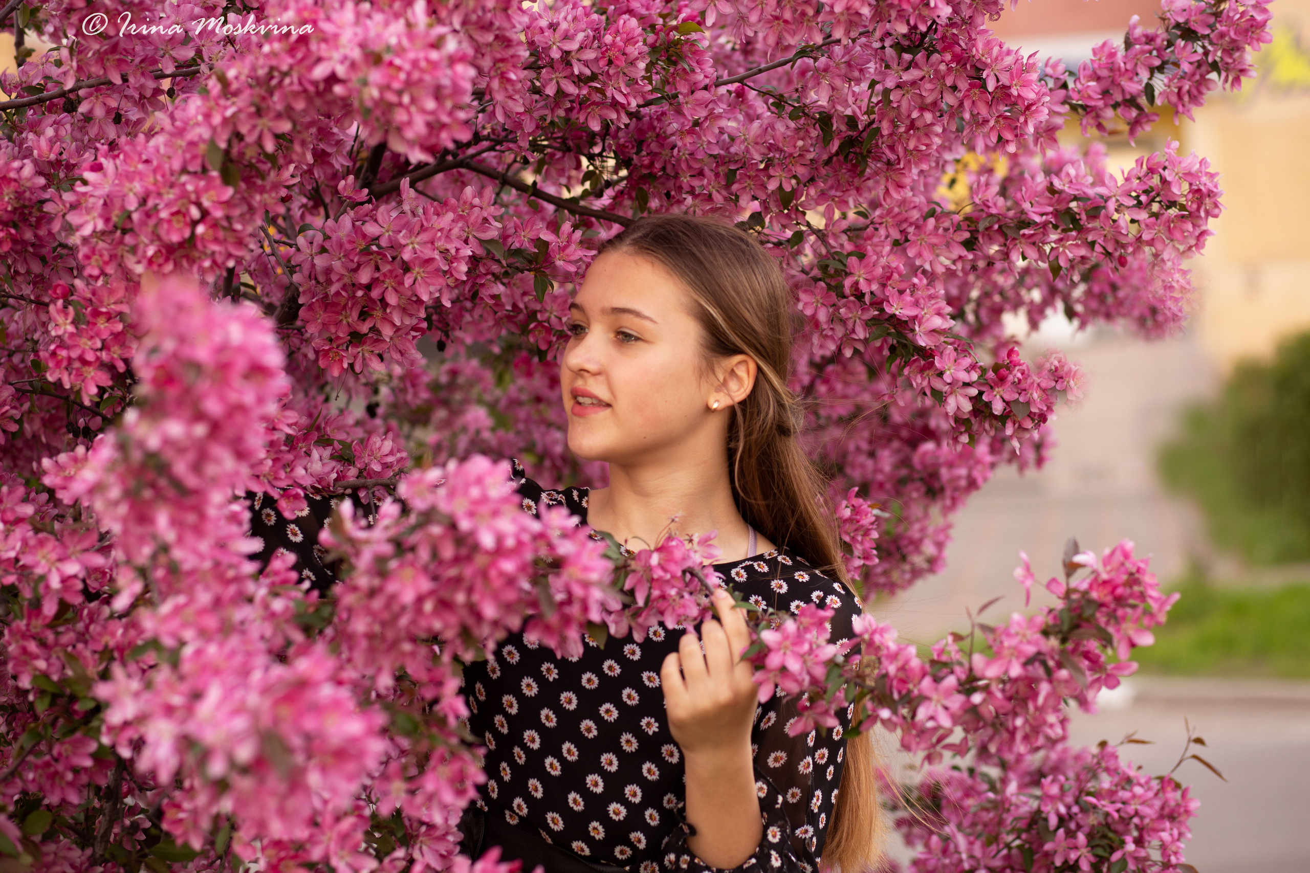 Александра. Ирина Москвина | фотограф | Москва